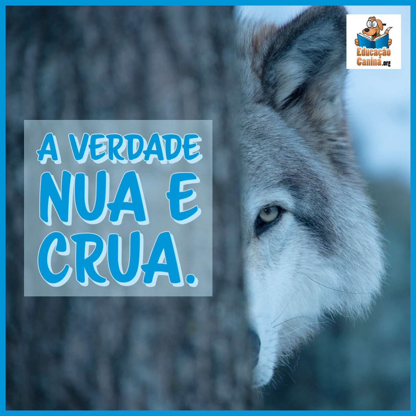 A verdade nua e crua.