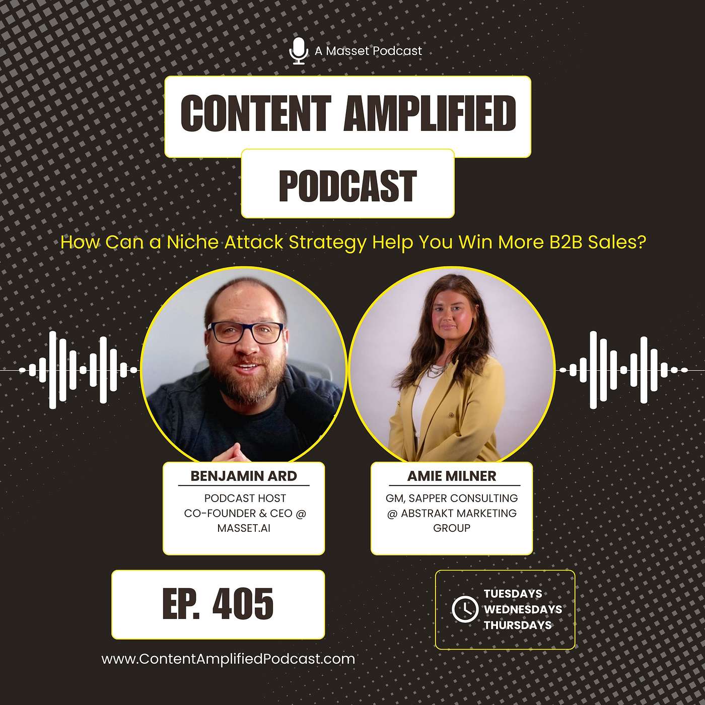 How Can a Niche Attack Strategy Help You Win More B2B Sales? How Can a Niche Attack Strategy Help You Win More B2B Sales?