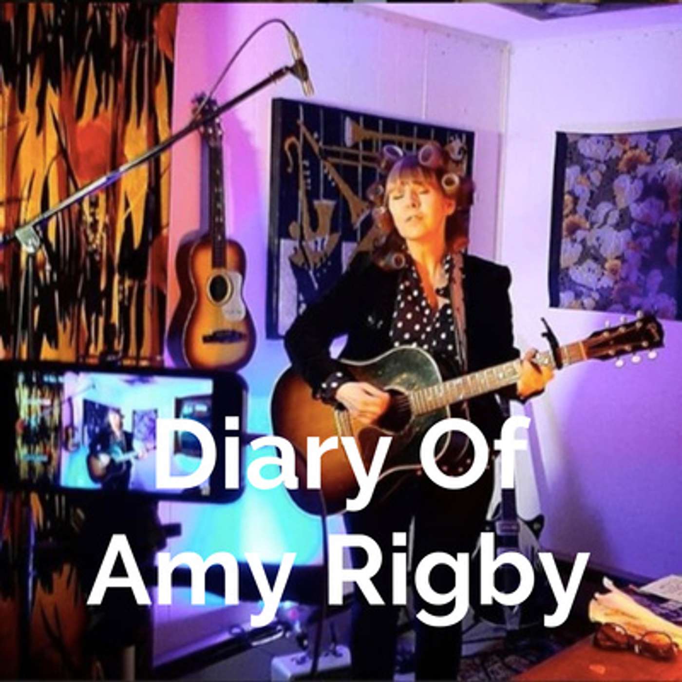 Diary Of Amy Rigby