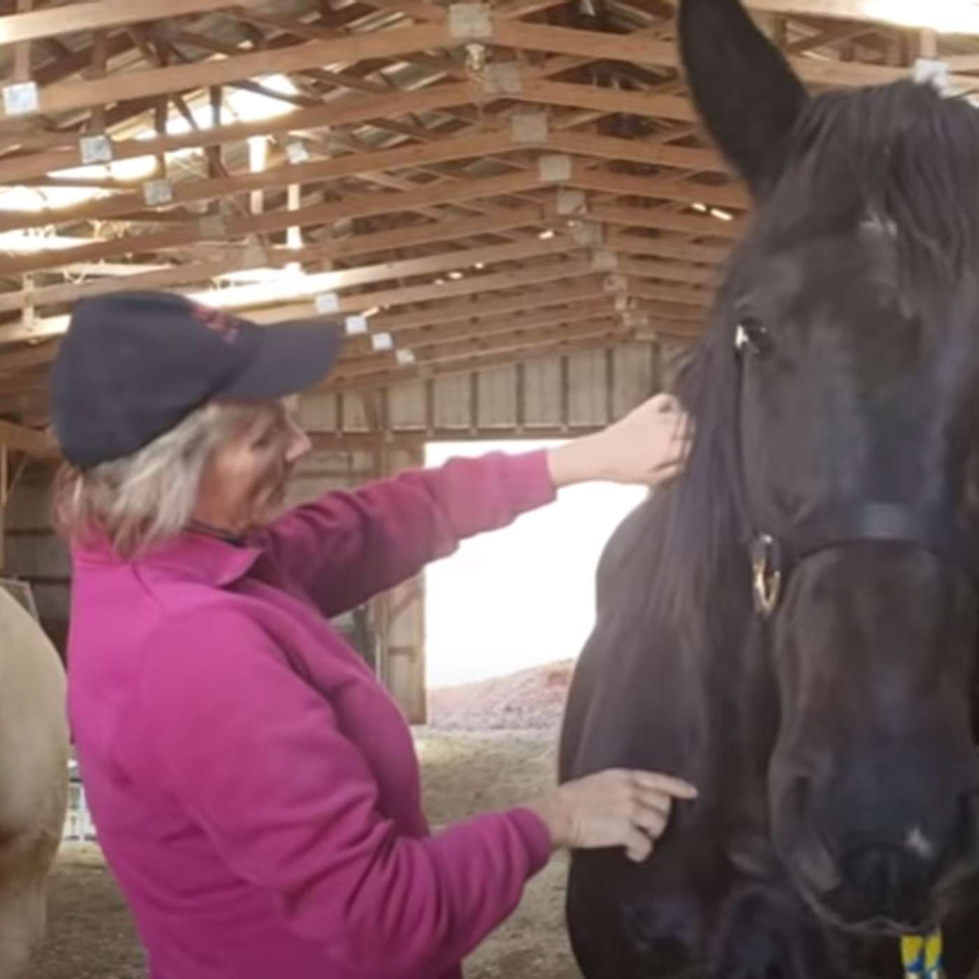Holistic Horseworks Talks with April Love