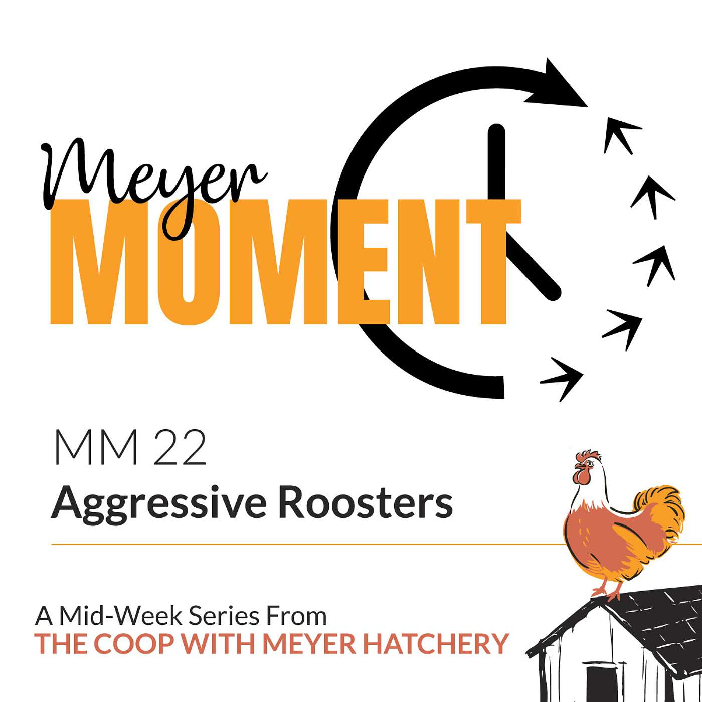 Meyer Moment: Aggressive Roosters