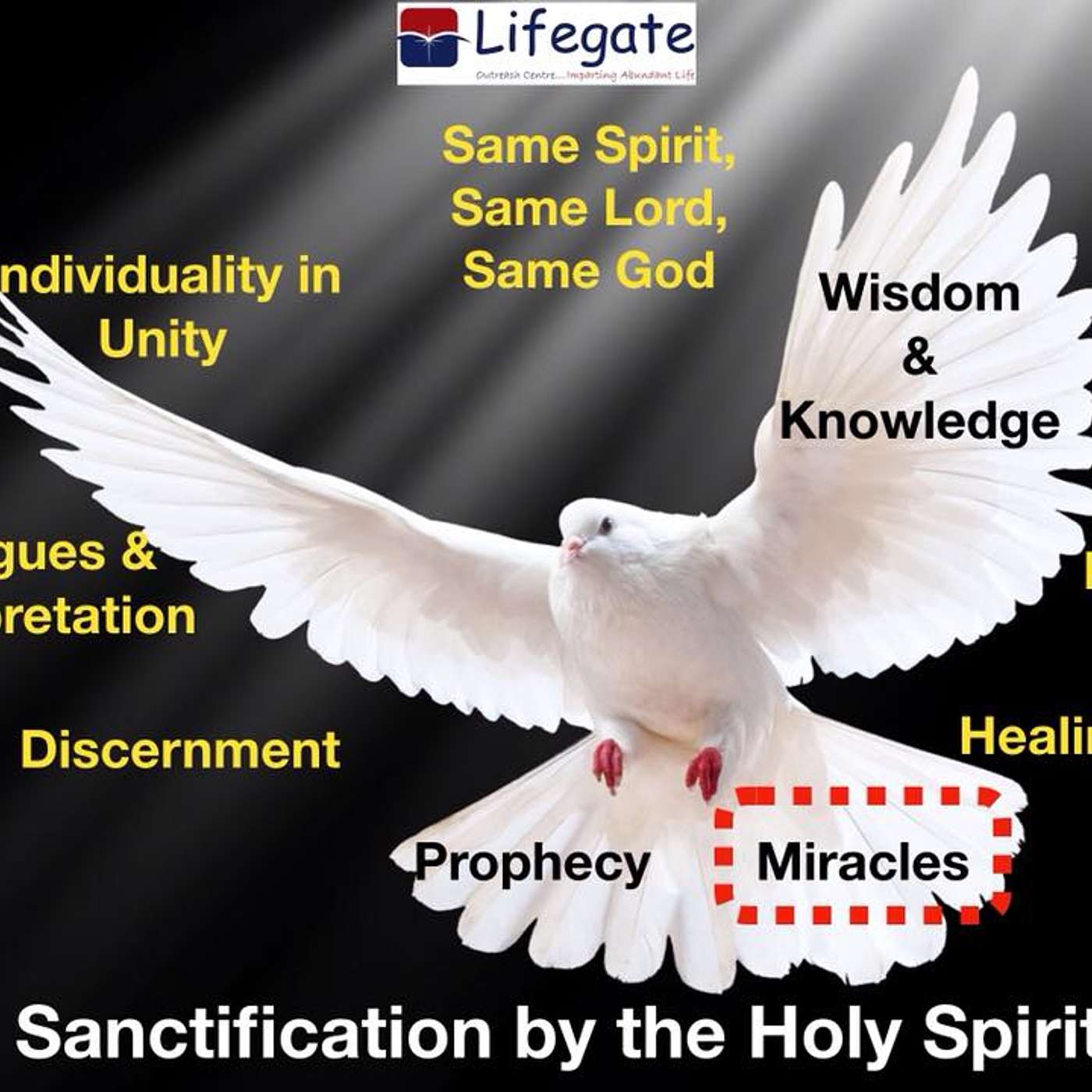 The Working of Miracles - Lifegate Outreach Centre - 2.6.19 episode artwork