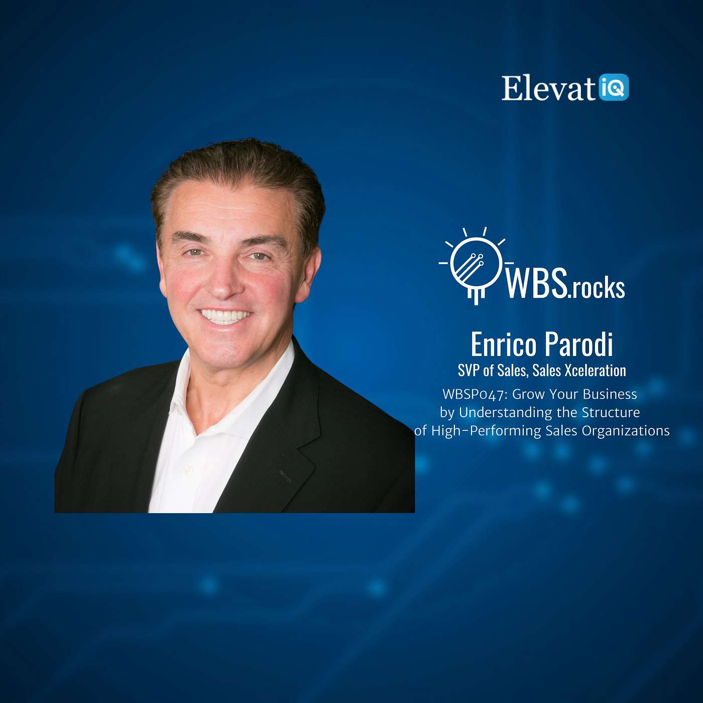 WBSP047: Grow Your Business by Understanding the Structure of High-Performing Sales Organizations w/ Enrico Parodi