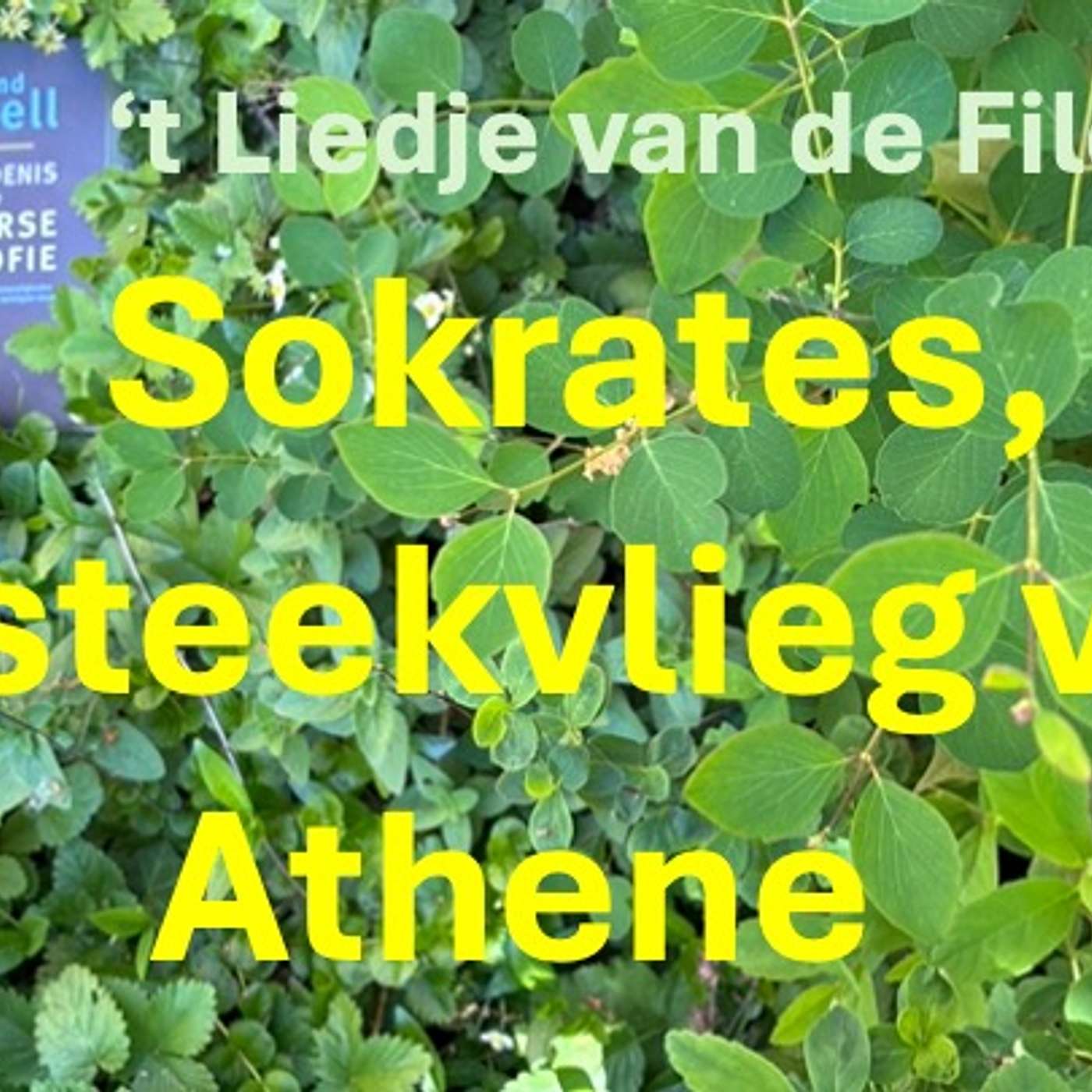 SOKRATES, de STEEKVLIEG van ATHENE, aflevering 3 van  " 't Liedje van de Filosoof" episode artwork