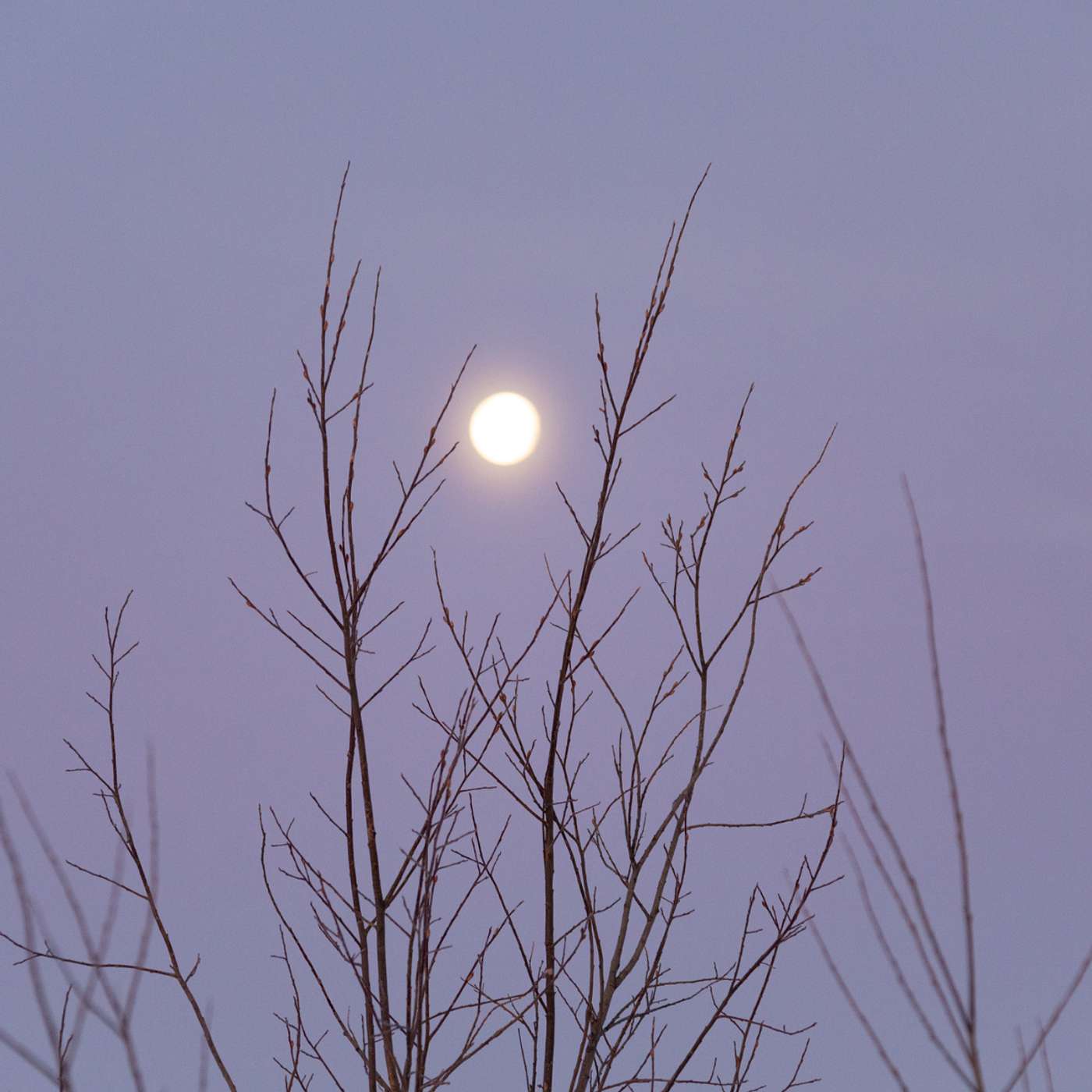 Make of Yourself a Light