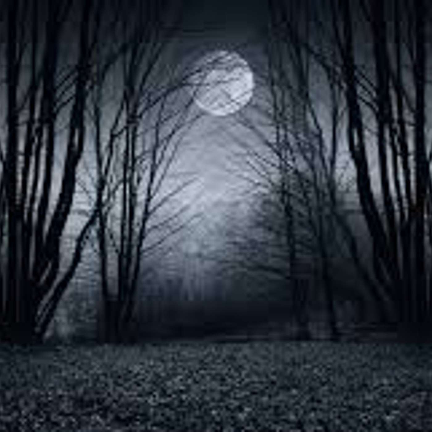 Sleepless Nights