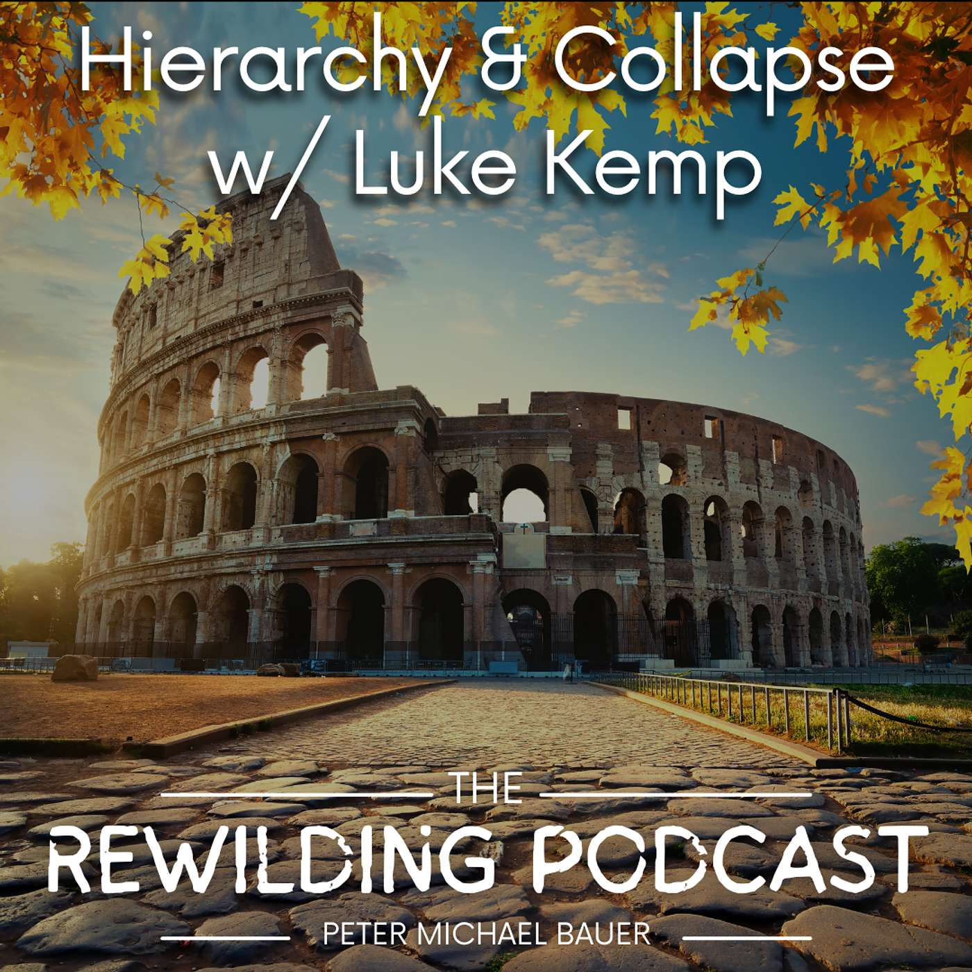 Hierarchy & Collapse w/ Luke Kemp