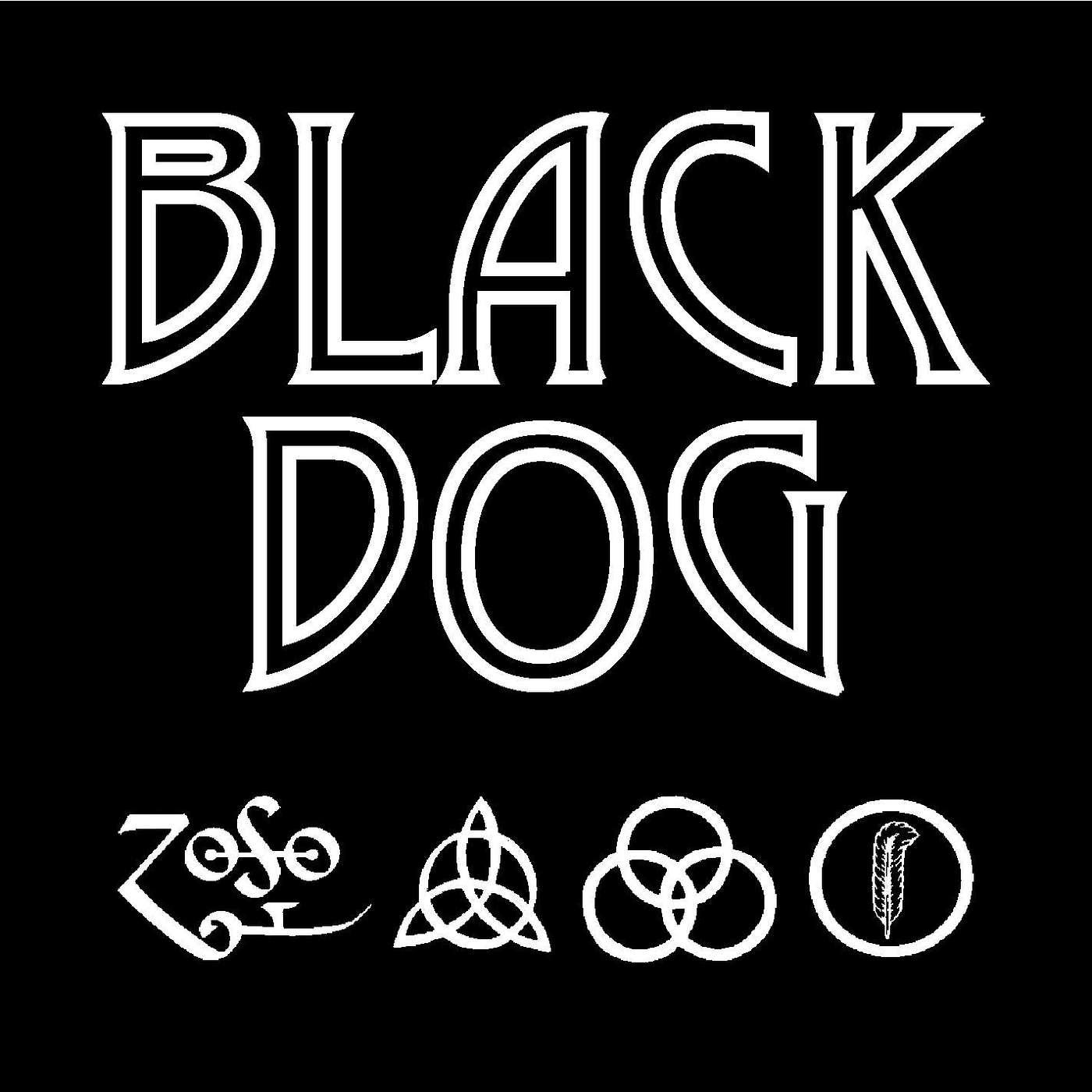 The City's Backyard S3 E8 Black Dog: The Music of Led Zeppelin drops by to talk about some tour dates in the area as well as their show with Almost Queen in New Haven! episode artwork