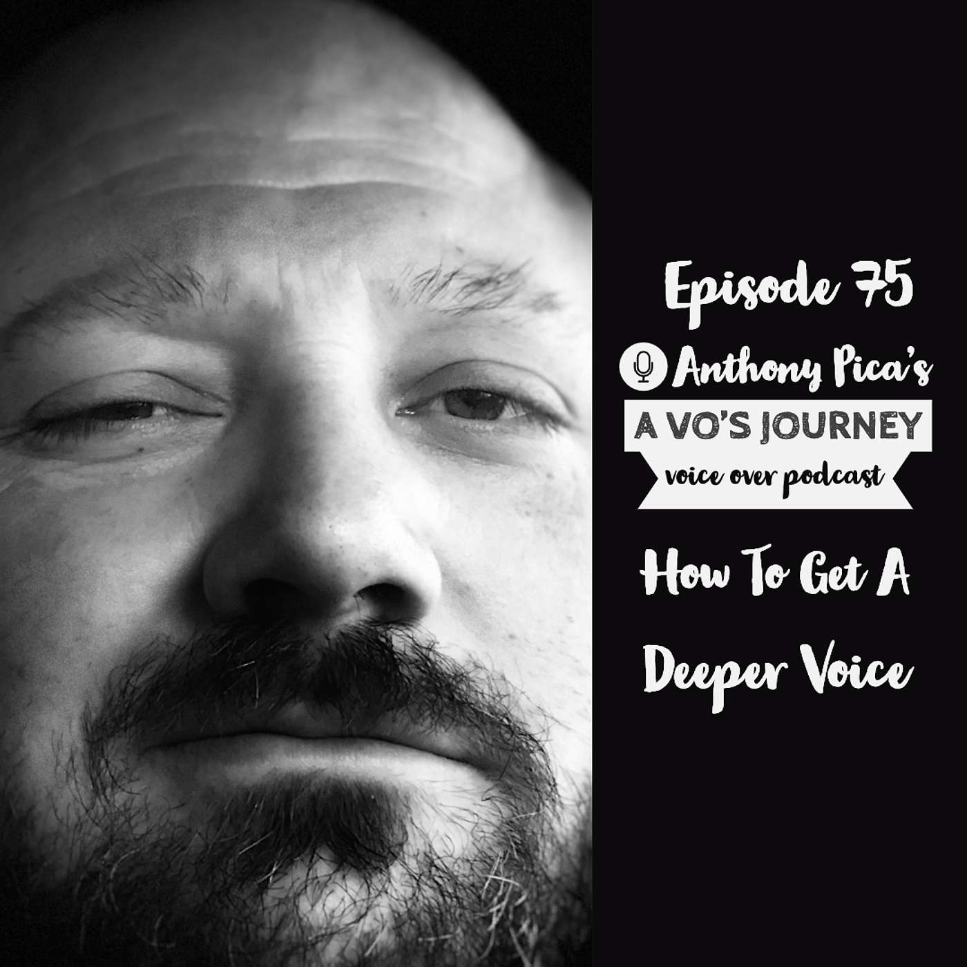 A VO\'s Journey: Voiceover and more voice over