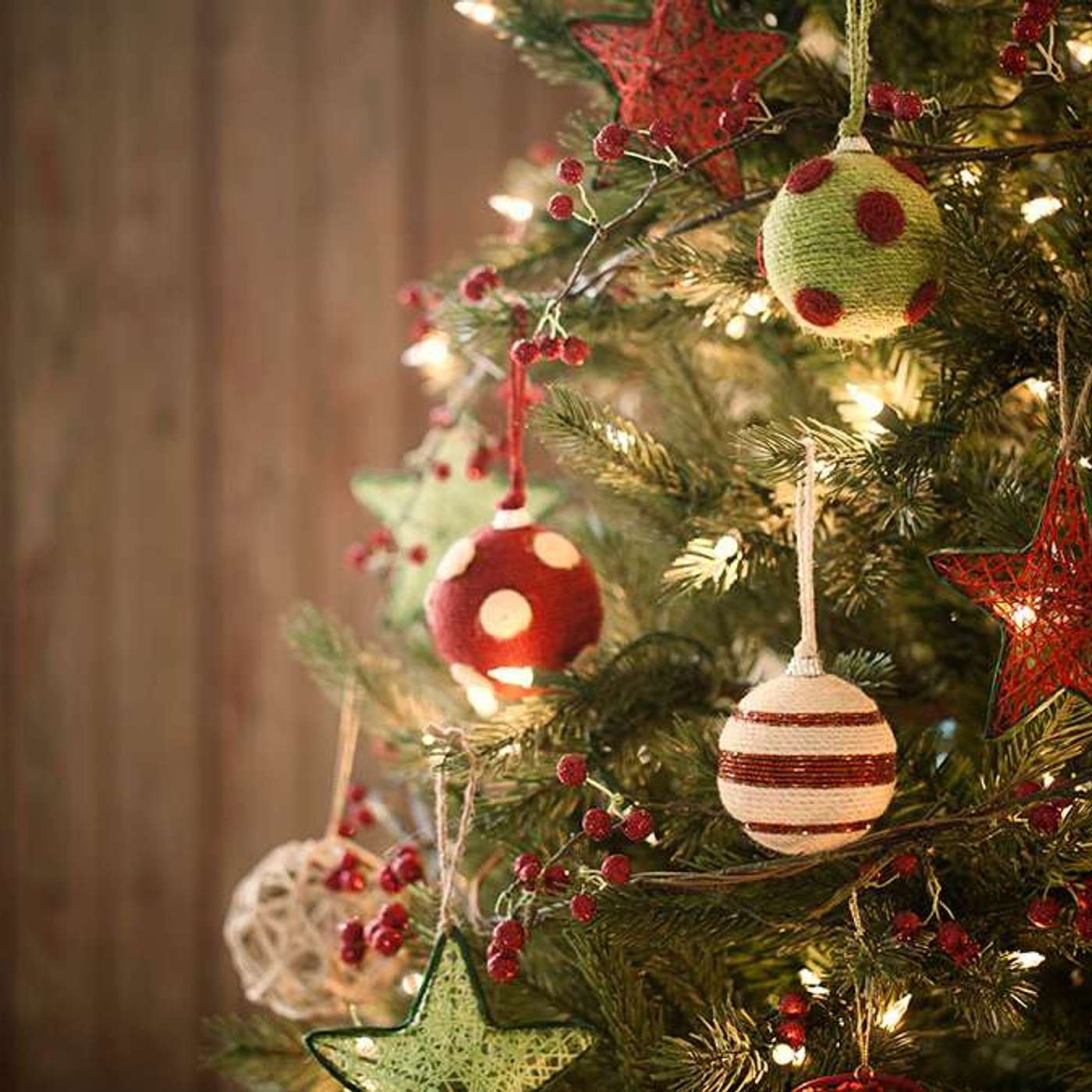 Episode 355 - The Rabbi & The ChristmasTree
