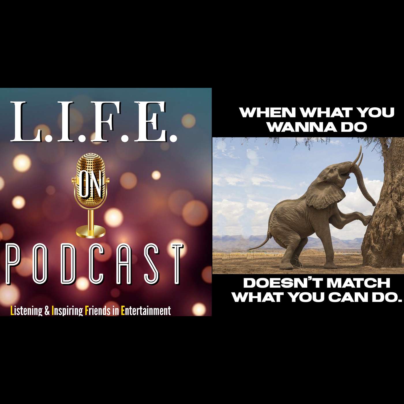 L.I.F.E. on podcast