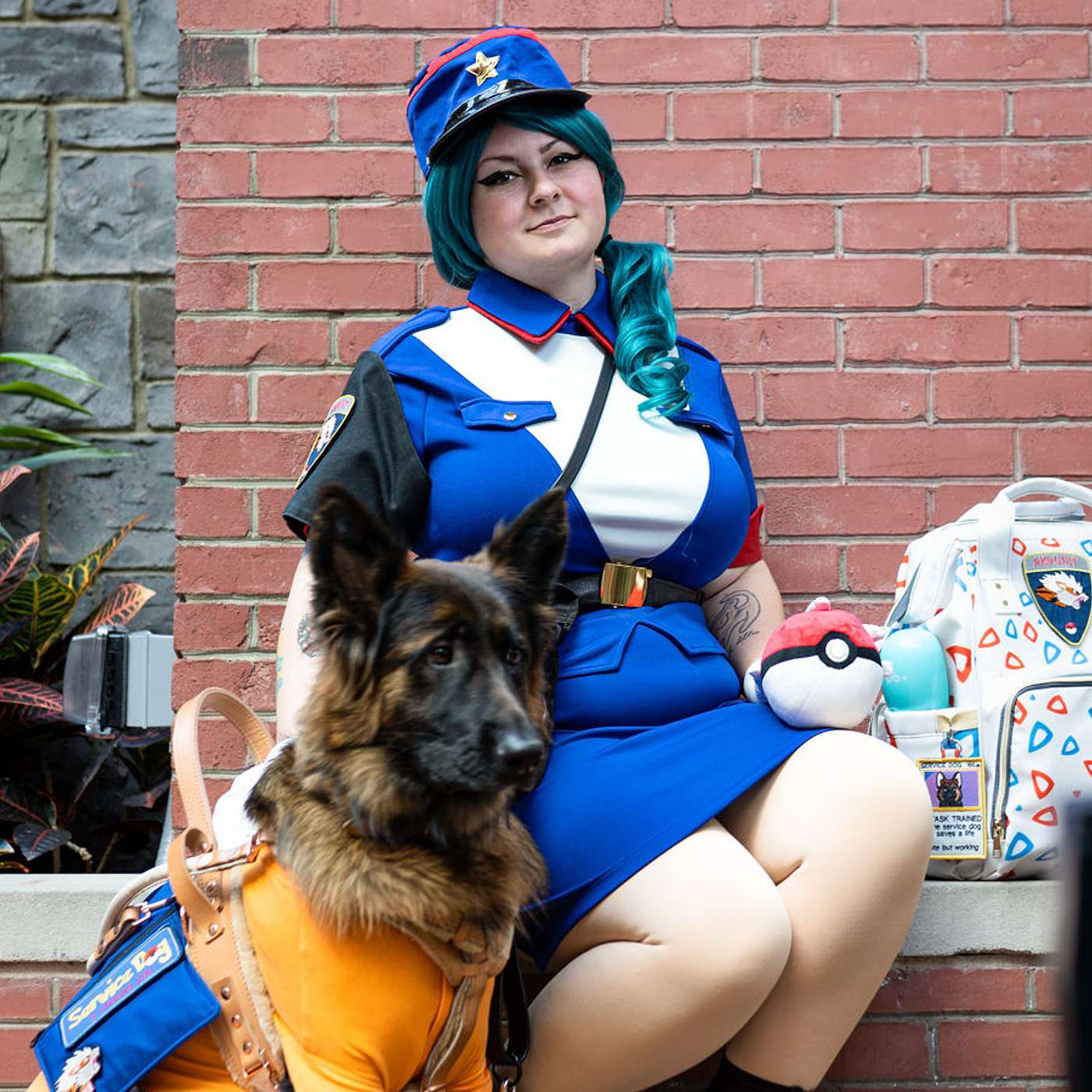 Taking Your Service Dog to a Convention
