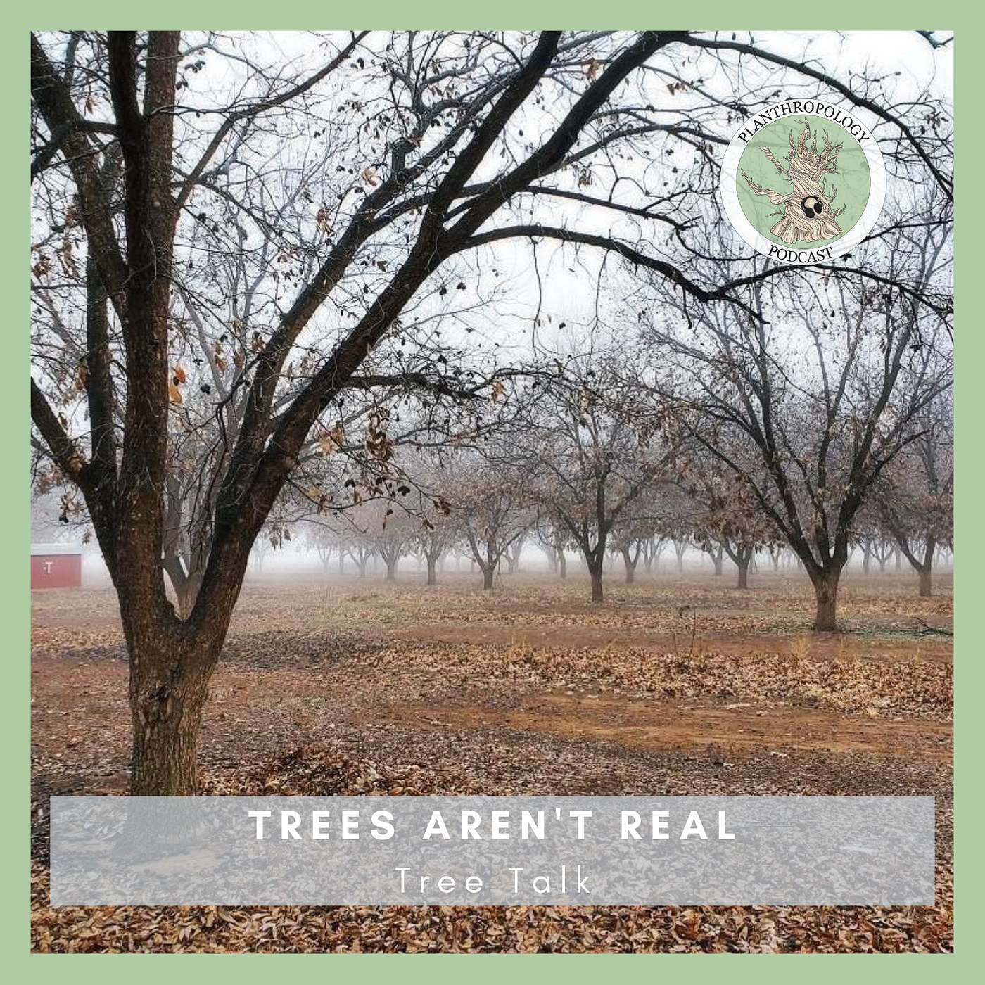 66. Tree Talk- Trees Aren’t Real