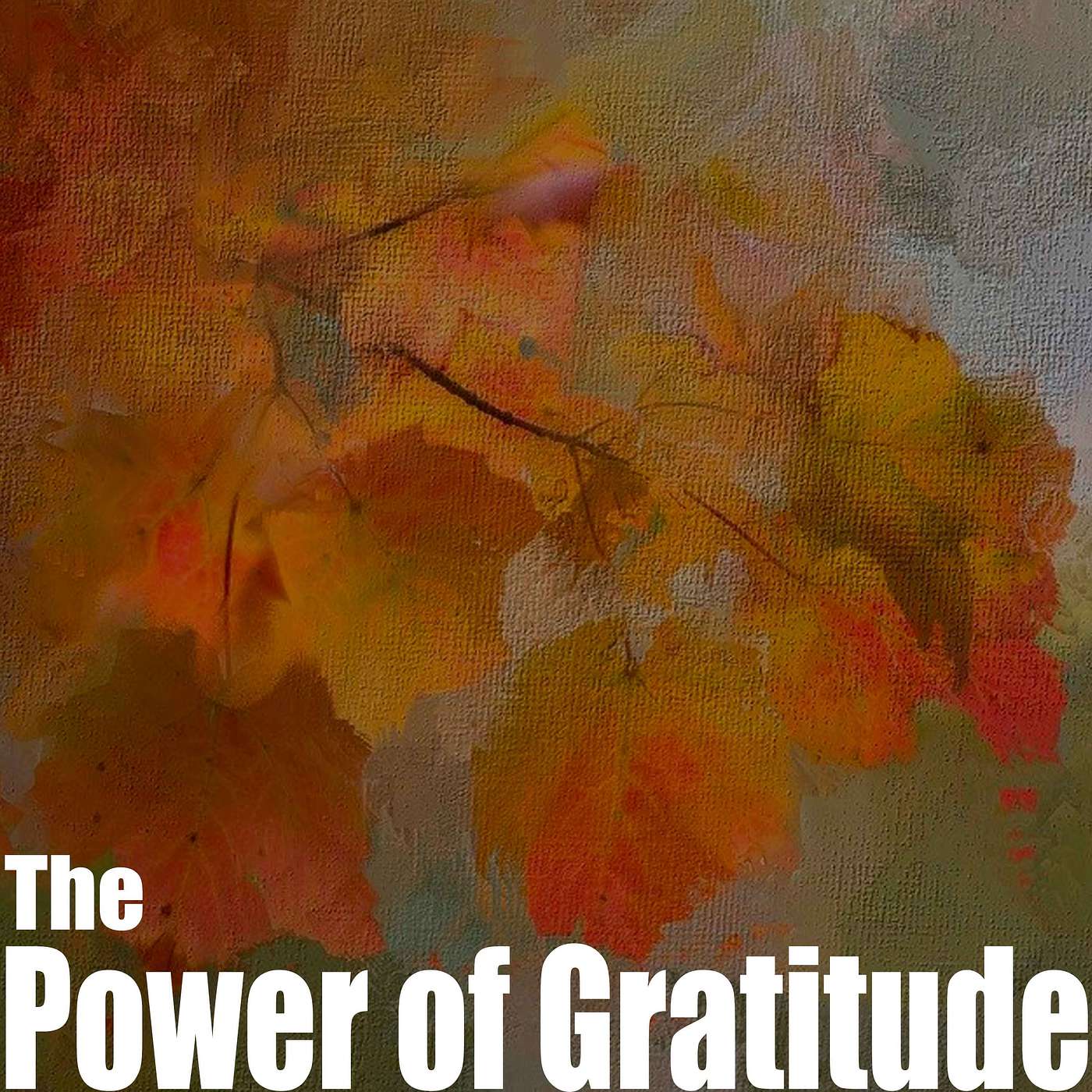 Episode 6 - The Power of Gratitude