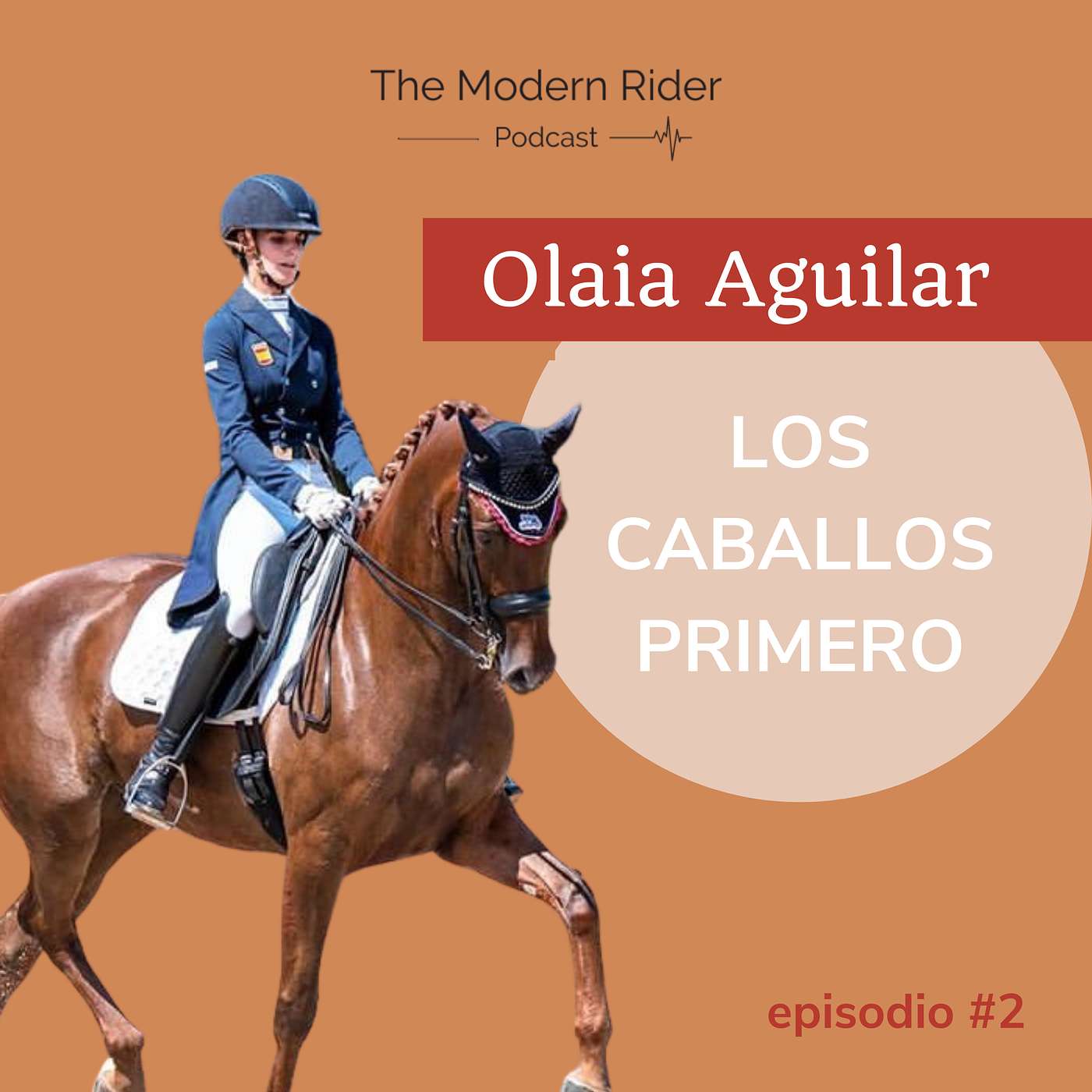 The Modern Rider
