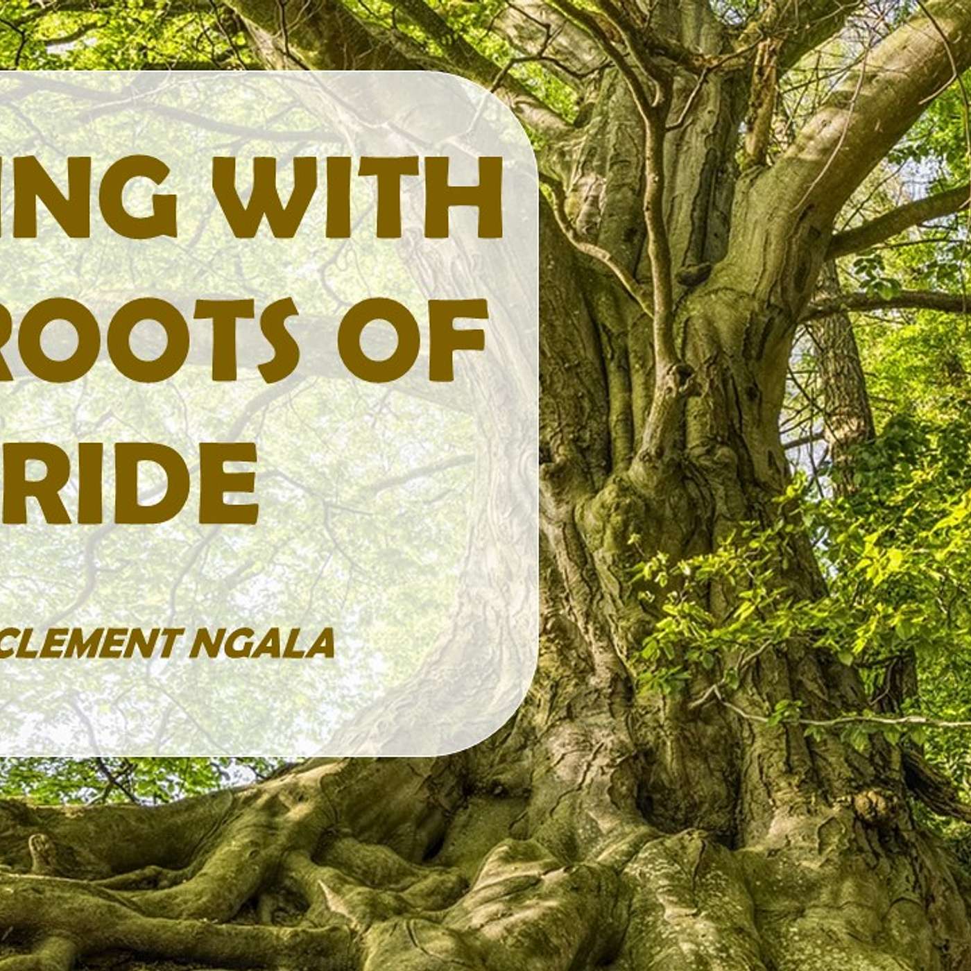 Dealing with the Roots of Pride episode artwork
