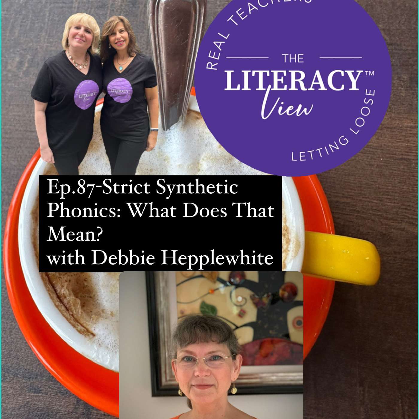 The Literacy View
