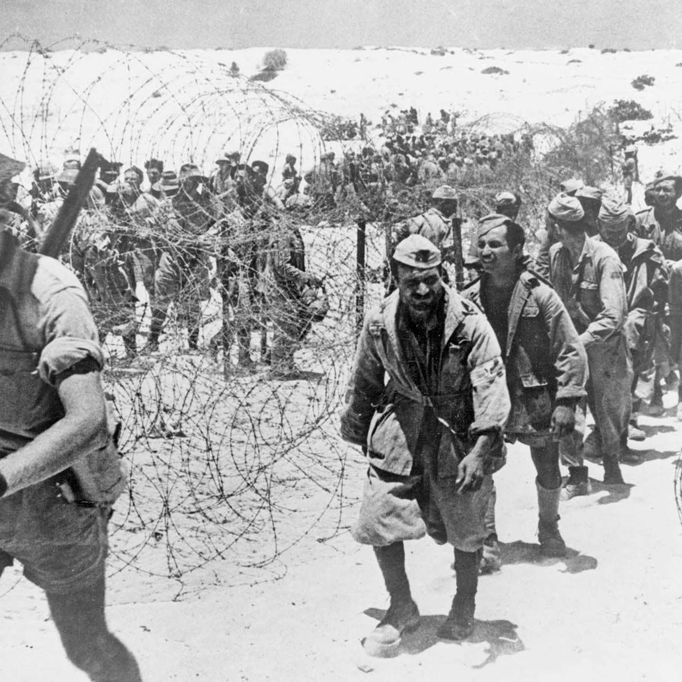 cover of episode World War 2: North African Campaign