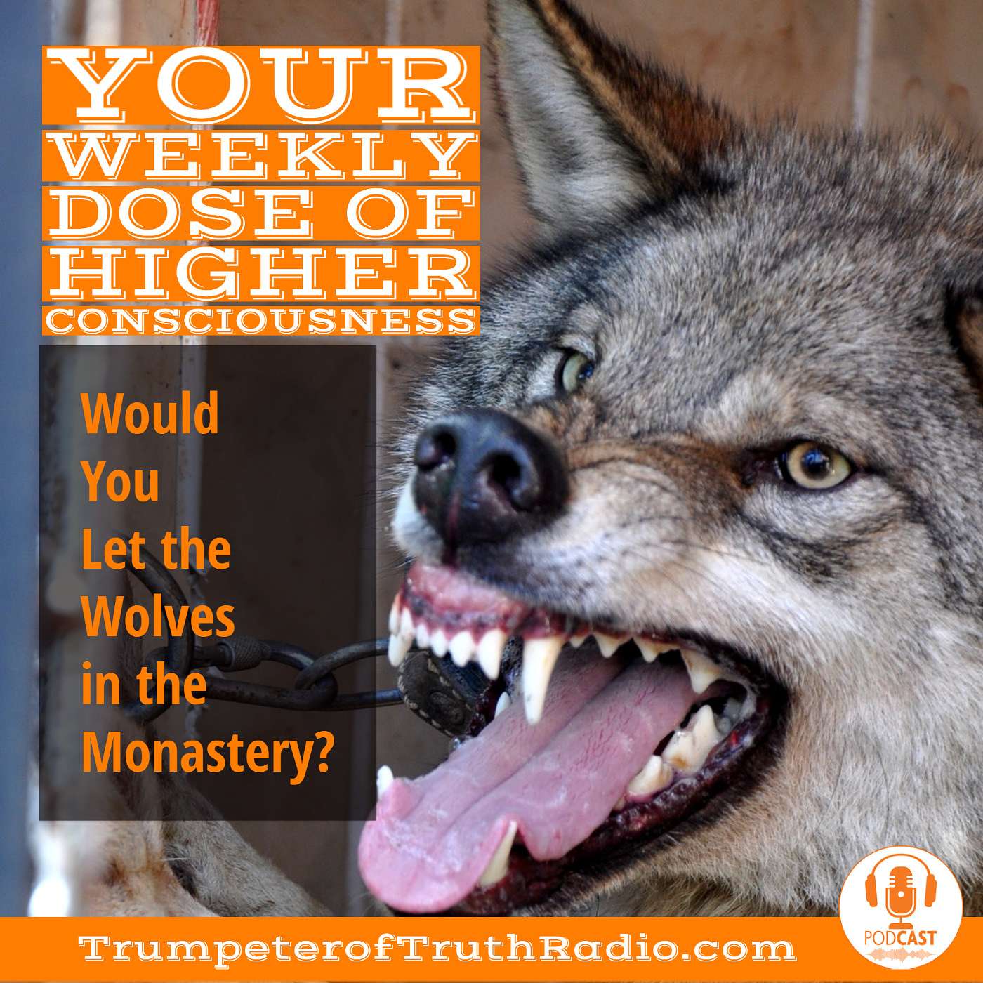 Would You Let the Wolves in the Monastery?