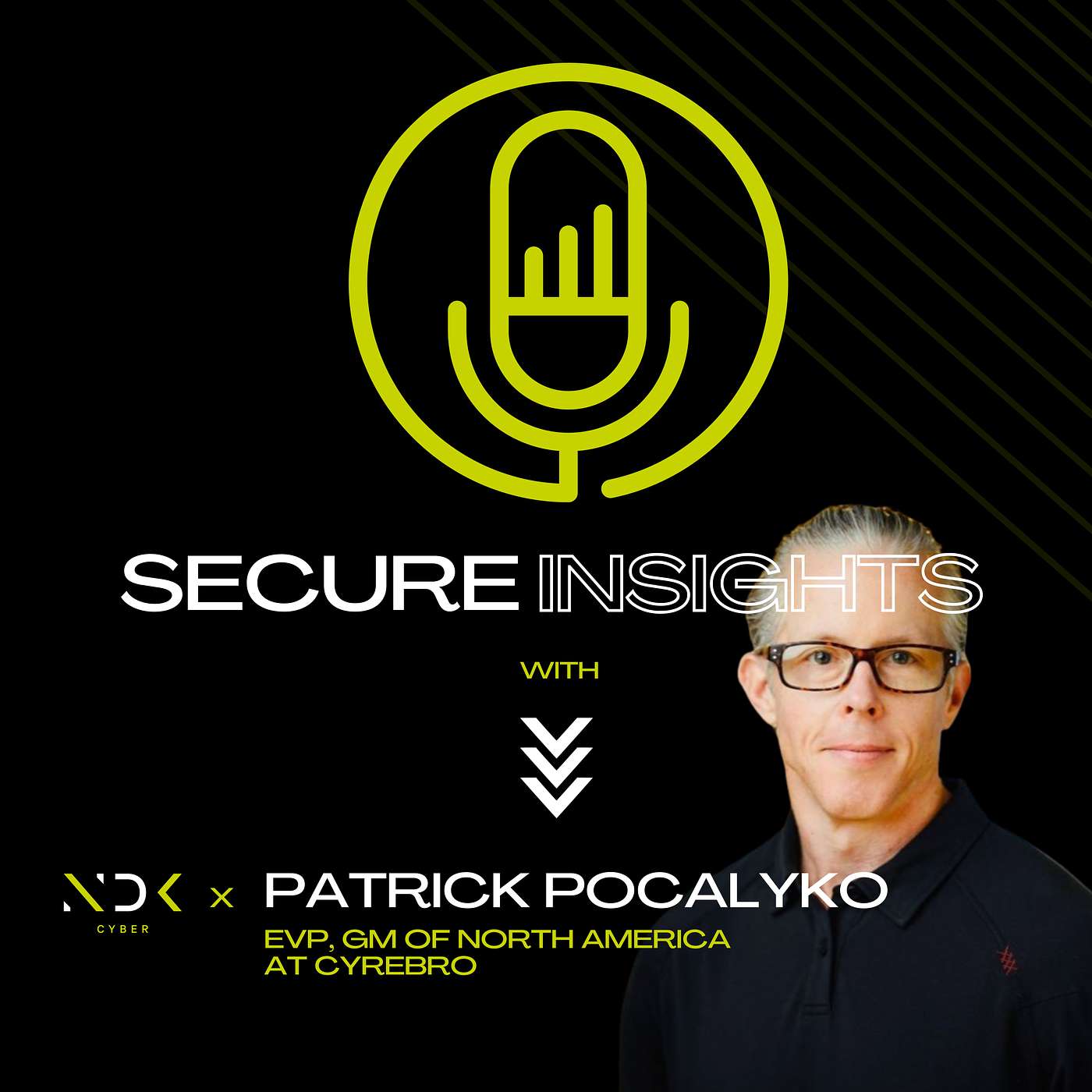 Secure Insights with NDK Cyber
