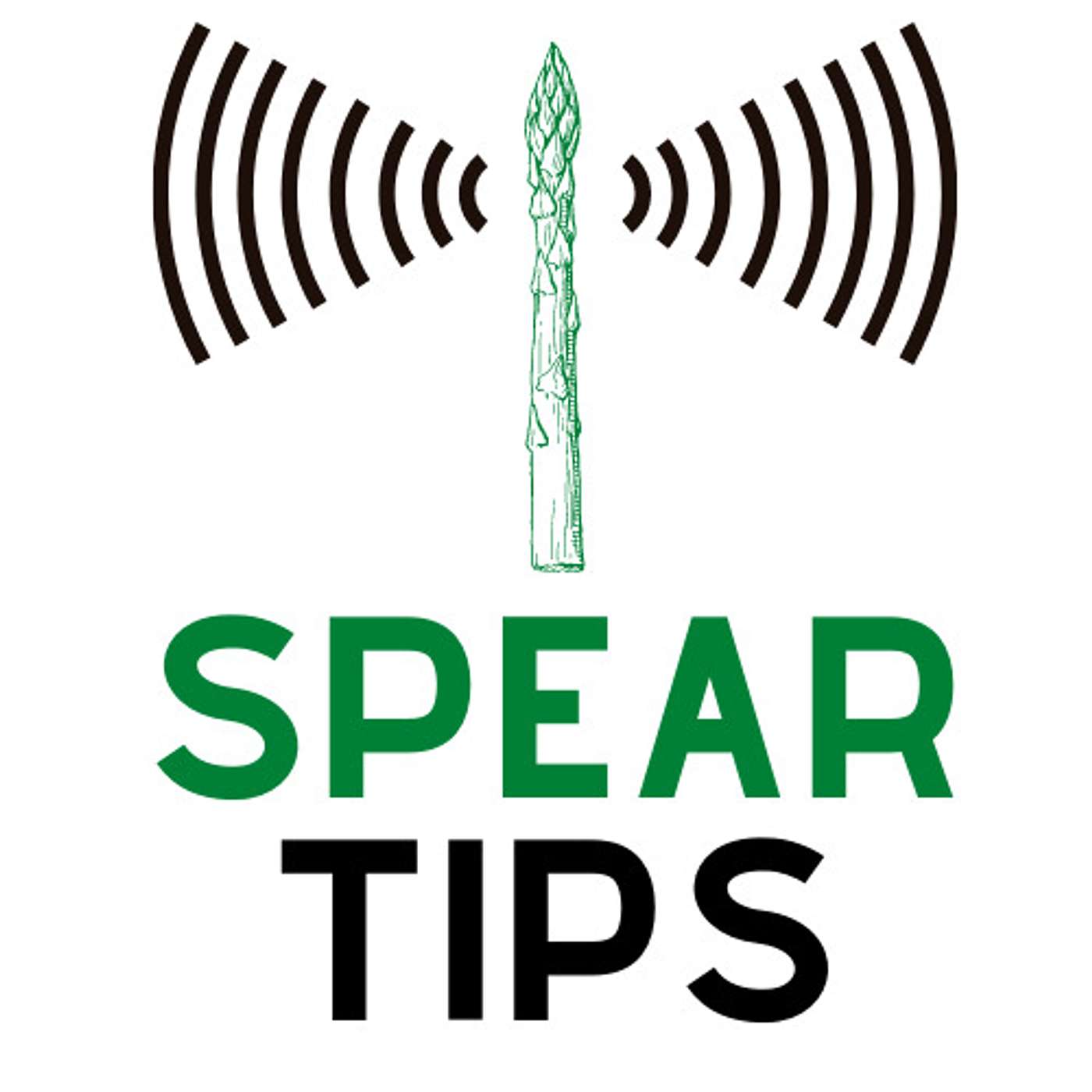 Spear Tips
