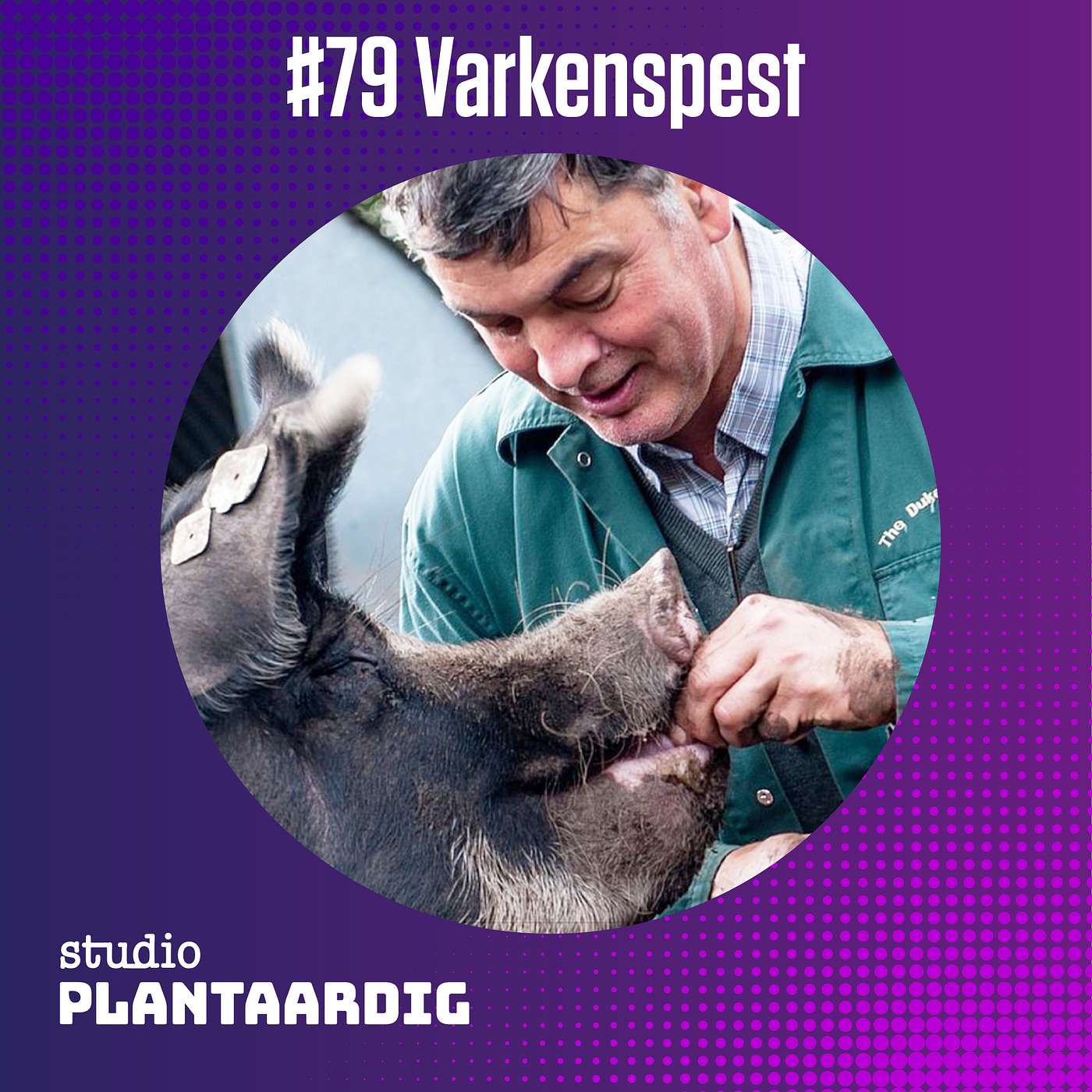 #79 Hoe dierenartsen miljoenen gezonde biggen moesten doden tijdens de varkenspest – Kees Scheepens en Rudolf Raymakers episode artwork