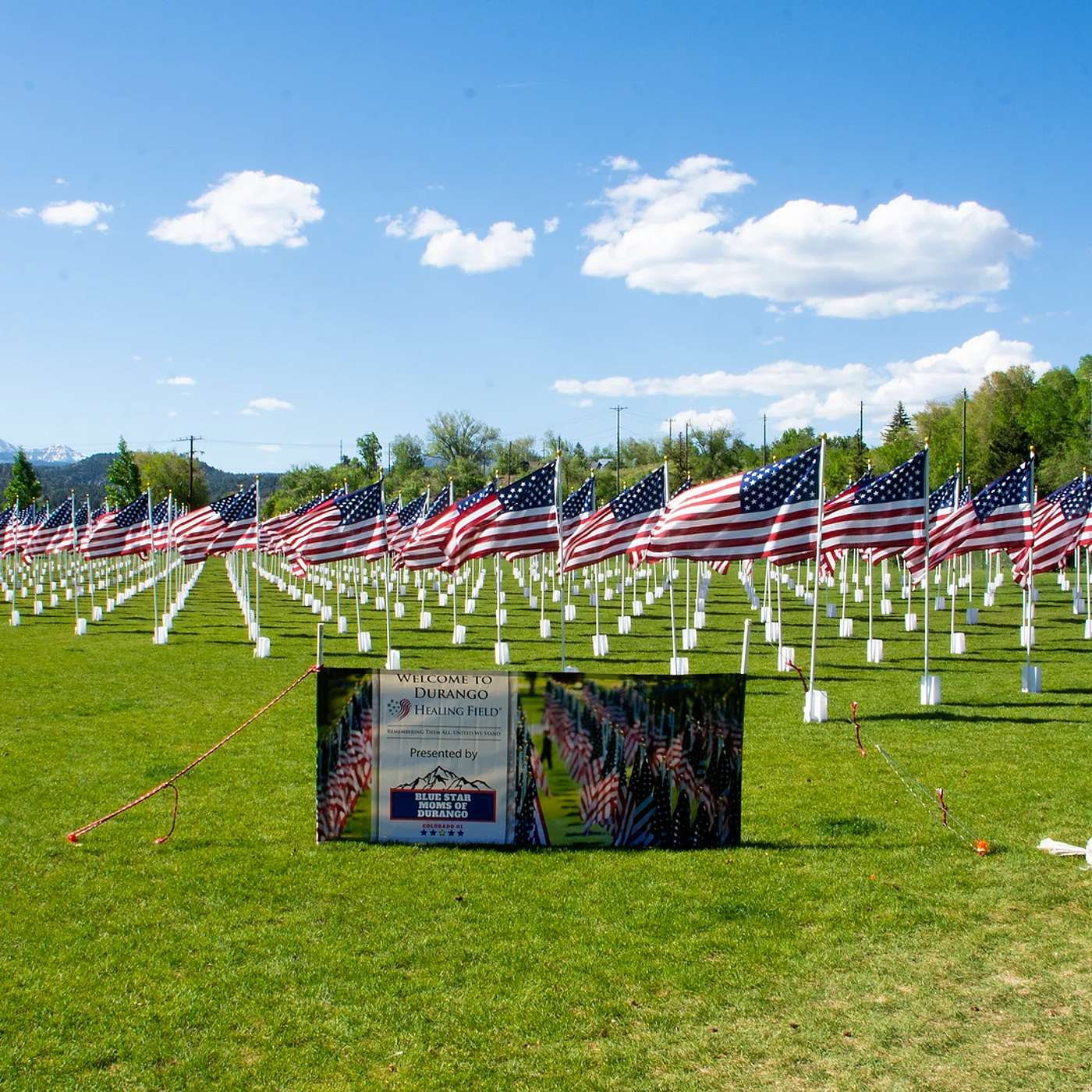 Blue Star Moms Honor Fallen Veterans with Flag Display