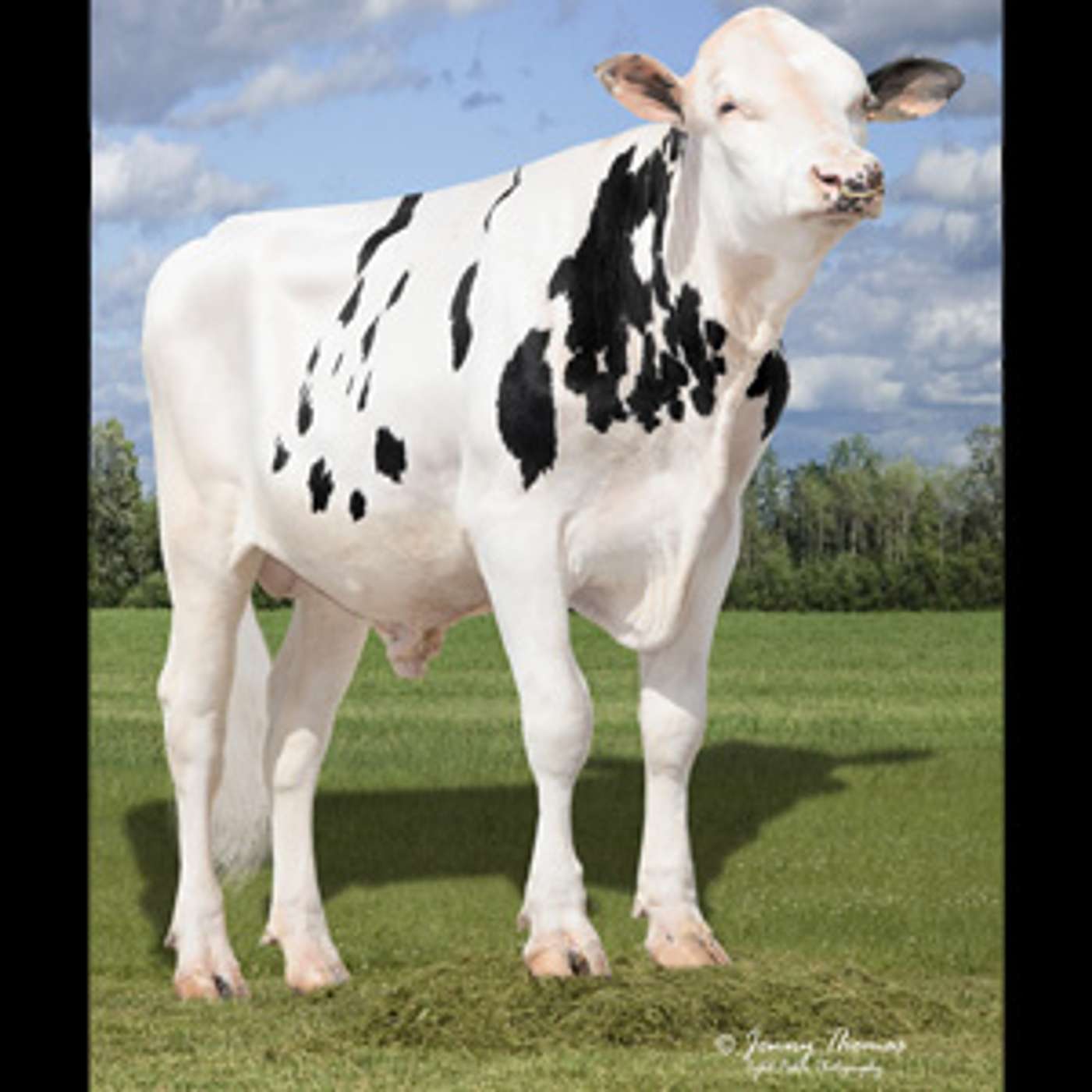 DairyVoice Podcast