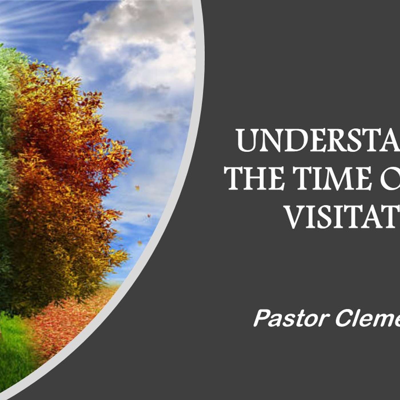Understanding the Time of Your Visitation episode artwork