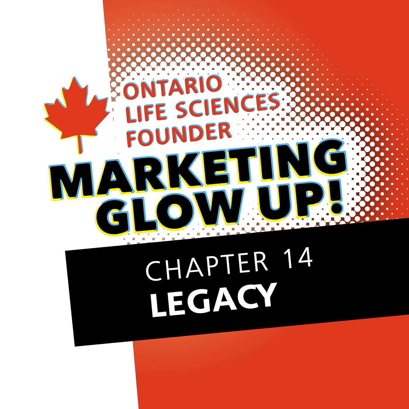 Chapter 14: Brand Isn’t a Logo, It’s a Legacy episode artwork