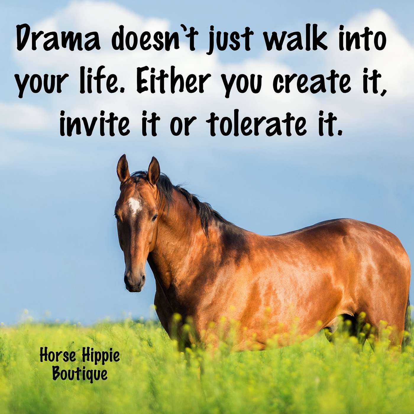 Free Yourself From Drama