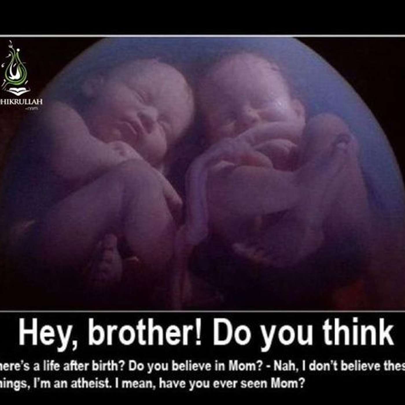 Episode 395  - Life after the Womb....and the Tomb?