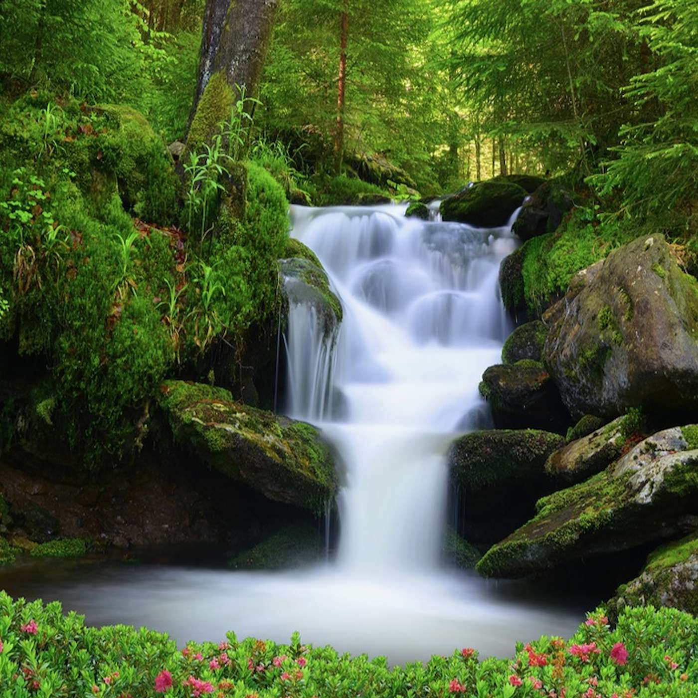 Heaven on Earth Mini Meditations