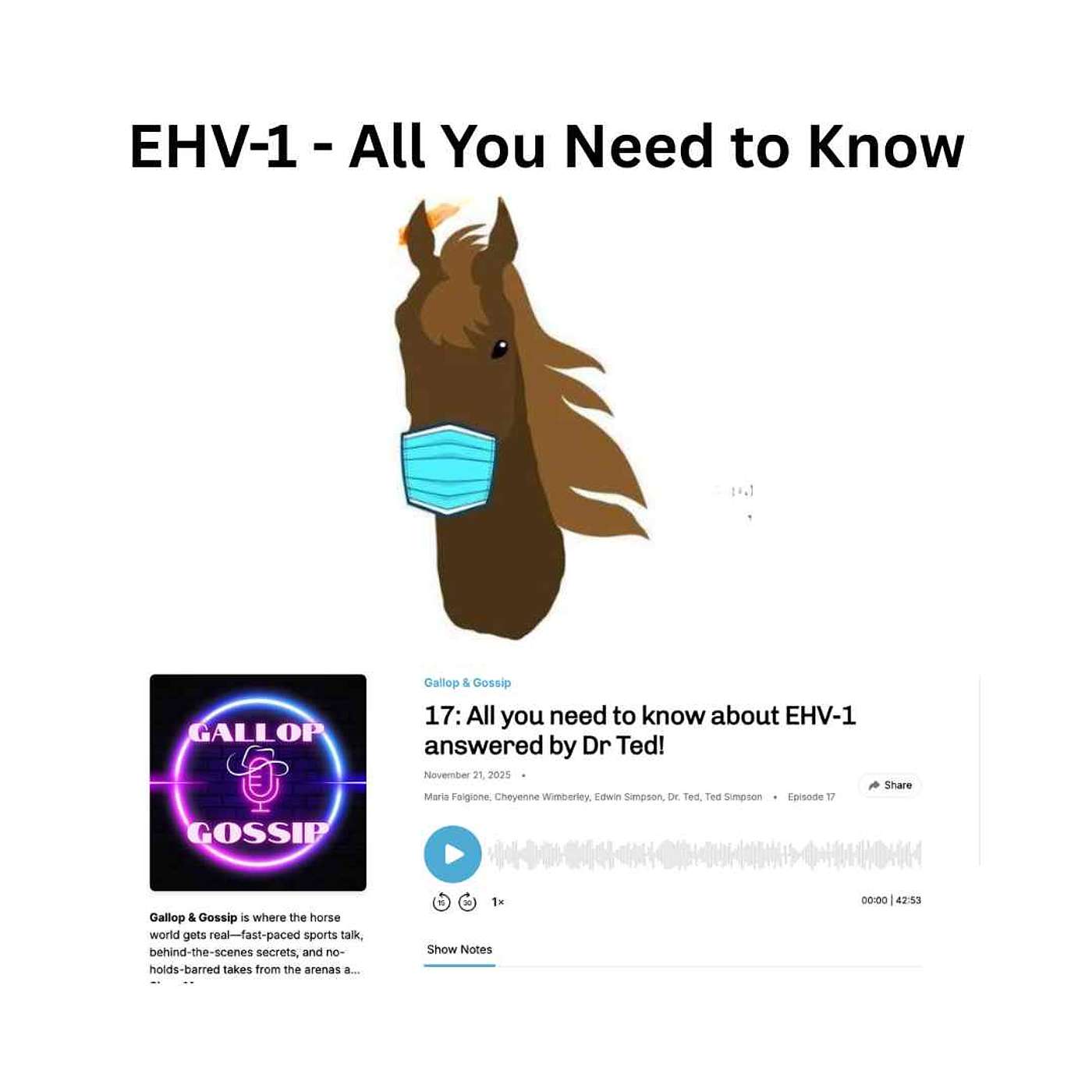 17: All you need to know about EHV-1 answered by Dr Ted! 17: All you need to know about EHV-1 answered by Dr Ted!