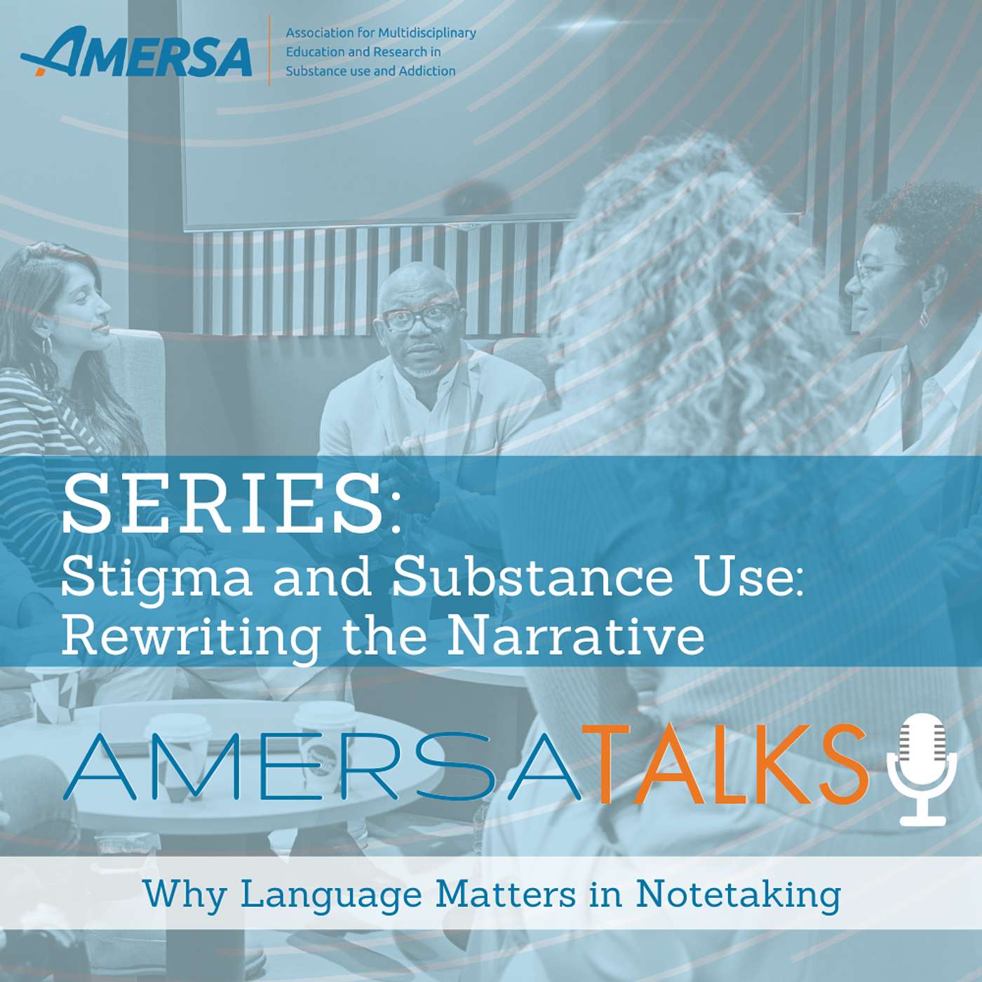 AMERSA Talks