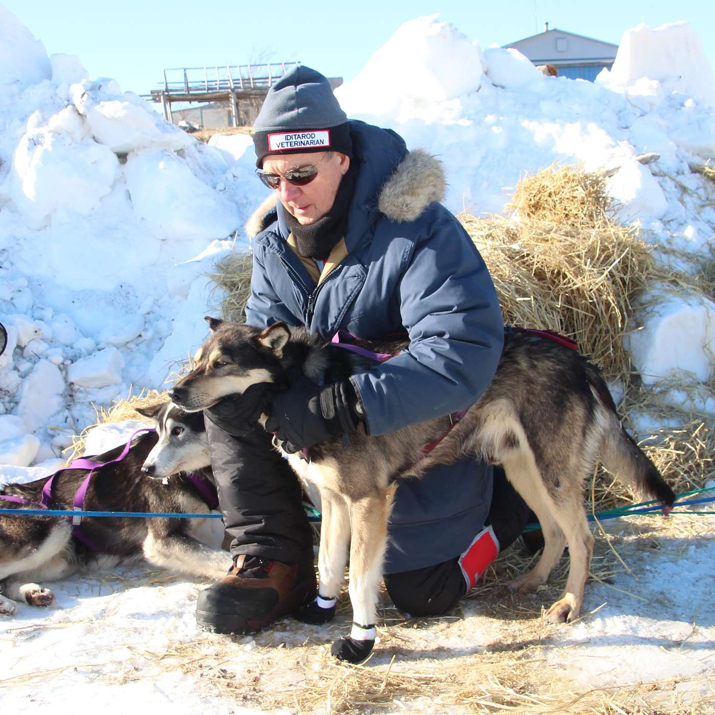 0201: The Iditarod with Dr. Vern Otte