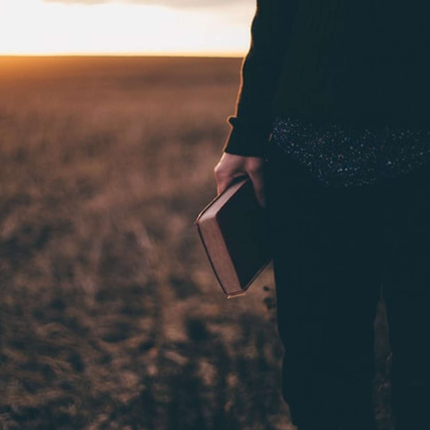Community Bible Fellowship
