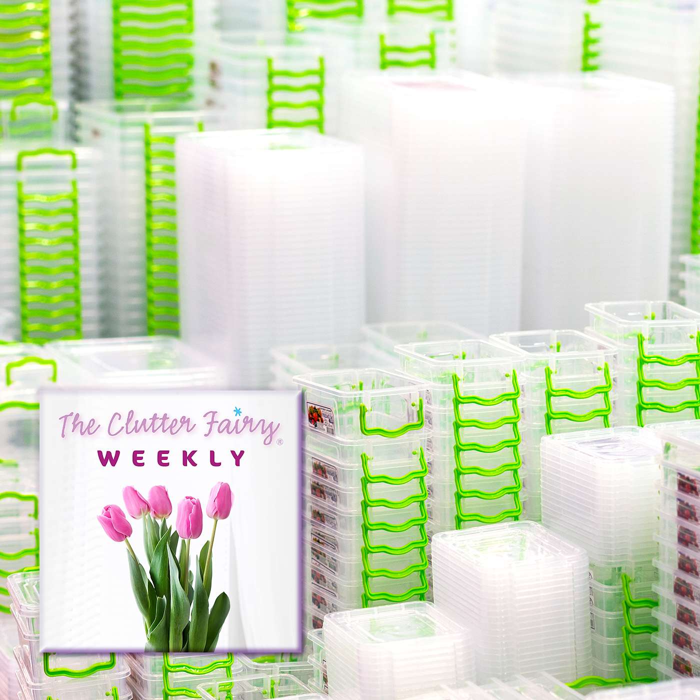 The Clutter Fairy Weekly #68 - Bags, Baskets, and Bins: Favorite Organizing Tools and Materials