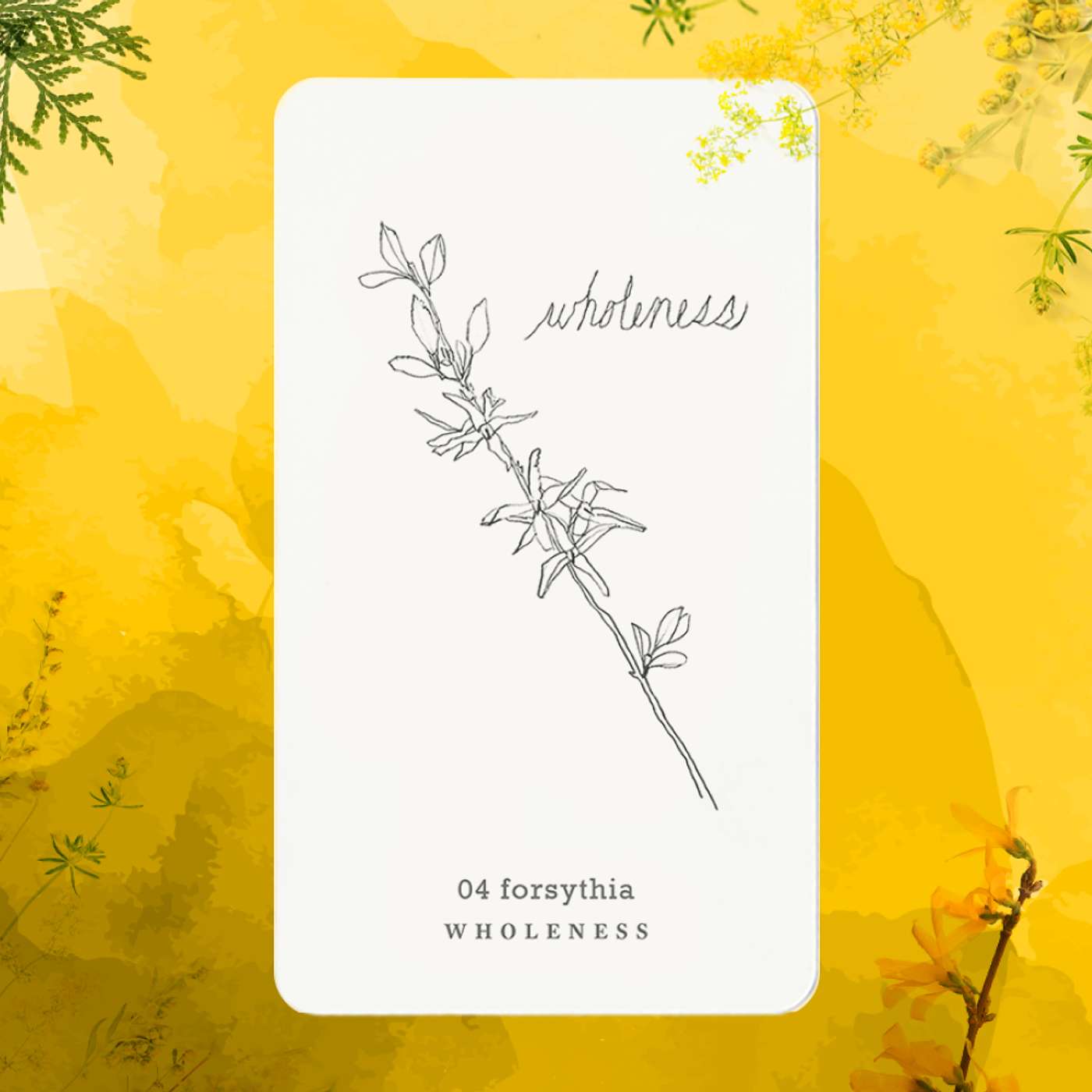 Gratitude Blooming Podcast