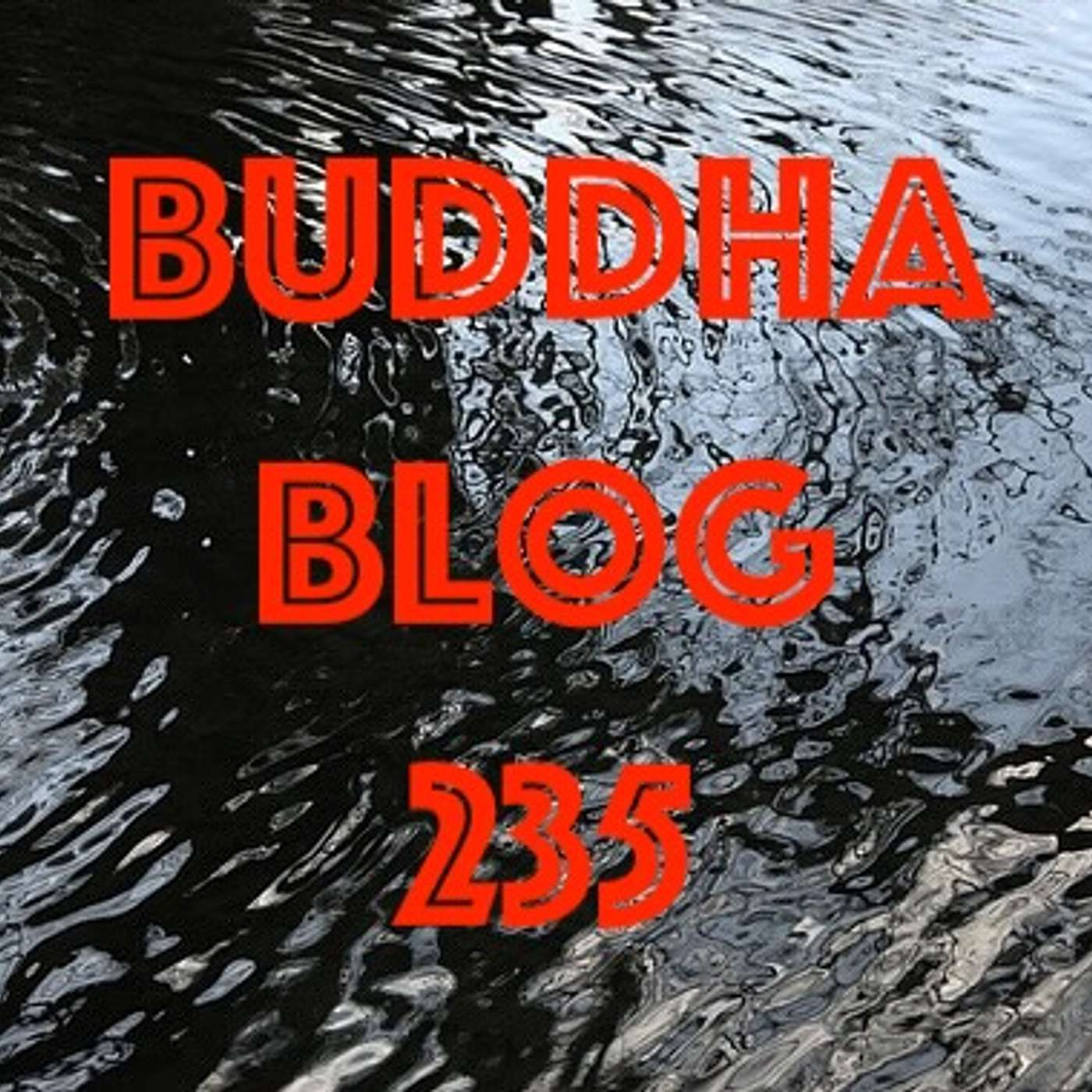 235-Die Rückkehr zur Quelle - Buddhismus im Alltag