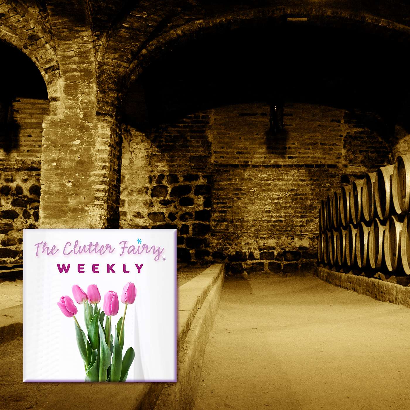Out of Sight, Out of Mind: Decluttering Your Home’s Hiding Places - The Clutter Fairy Weekly #112