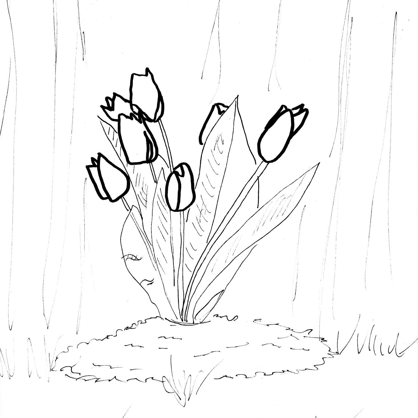 Plant + Grow: Blooming Where Planted and Planting Where You Desire