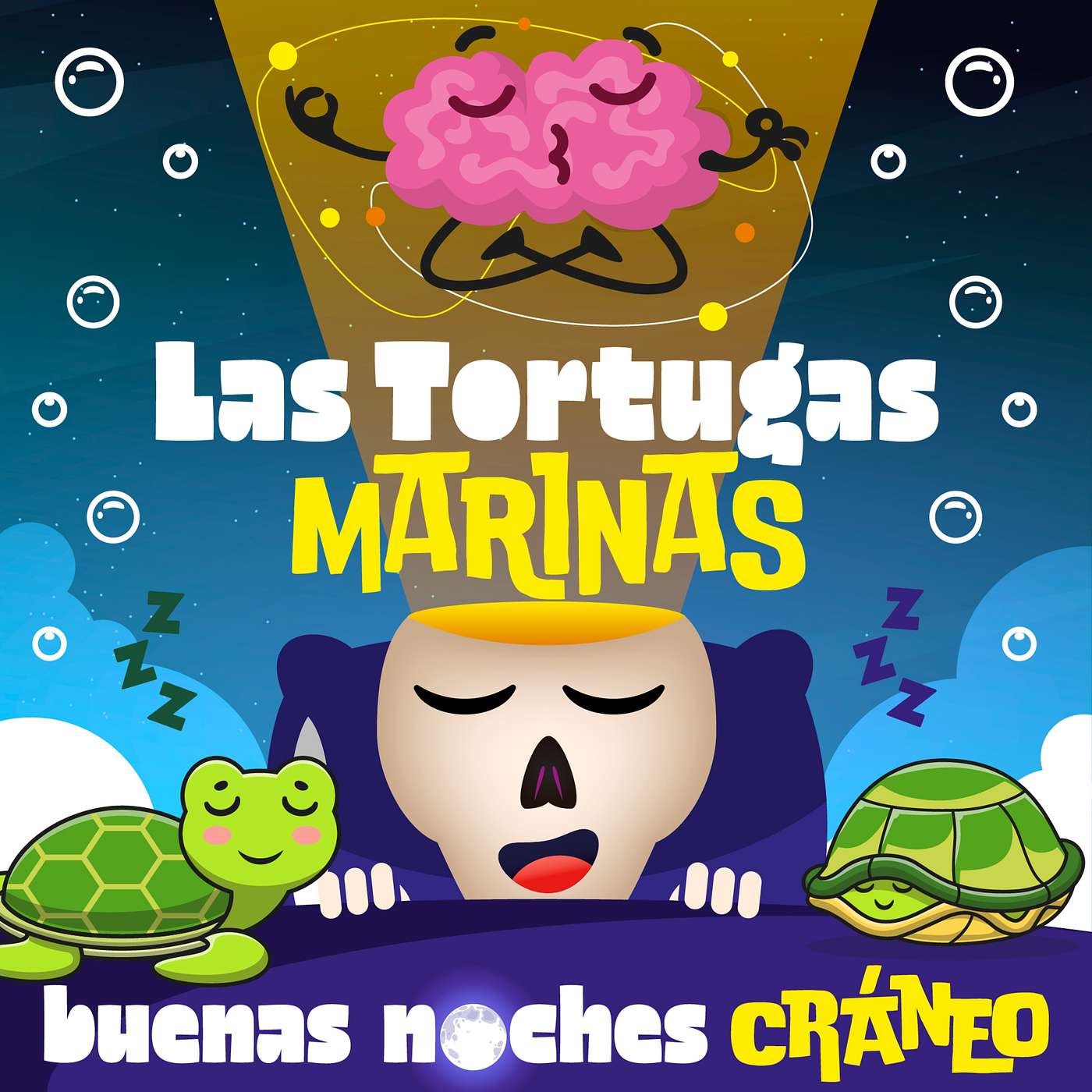 Las tortugas marinas (Propósito y sentido) episode artwork