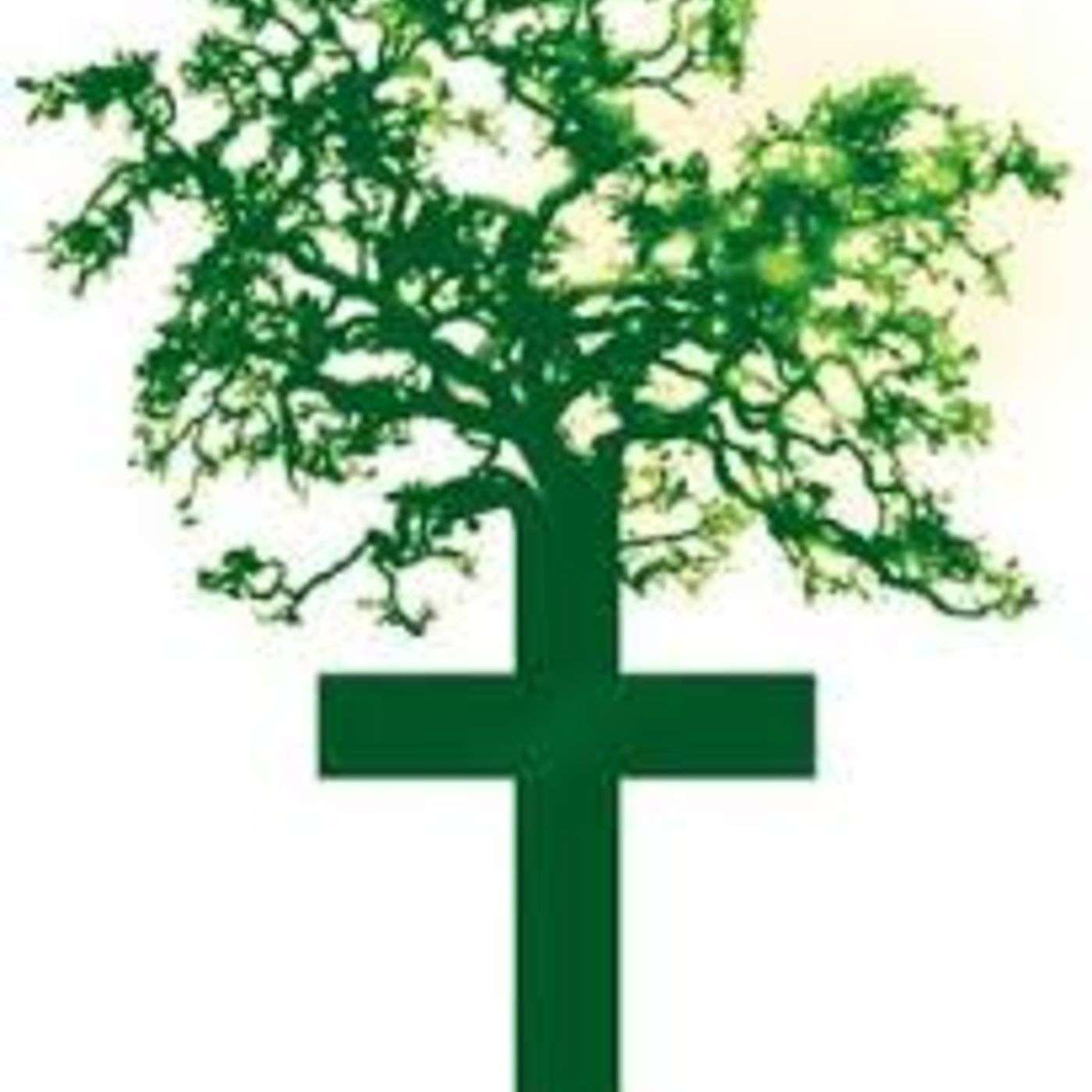 Gifts from Global Baptists: Stories Engaging Churches in Conversation