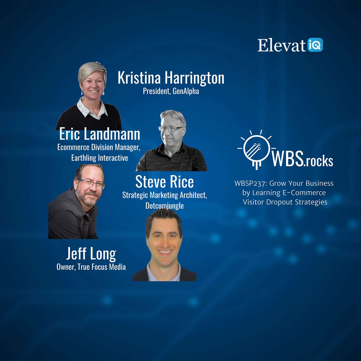WBSP237: Grow Your Business by Learning E-Commerce Visitor Dropout Strategies, a Live Interview w/ a Panel of Experts
