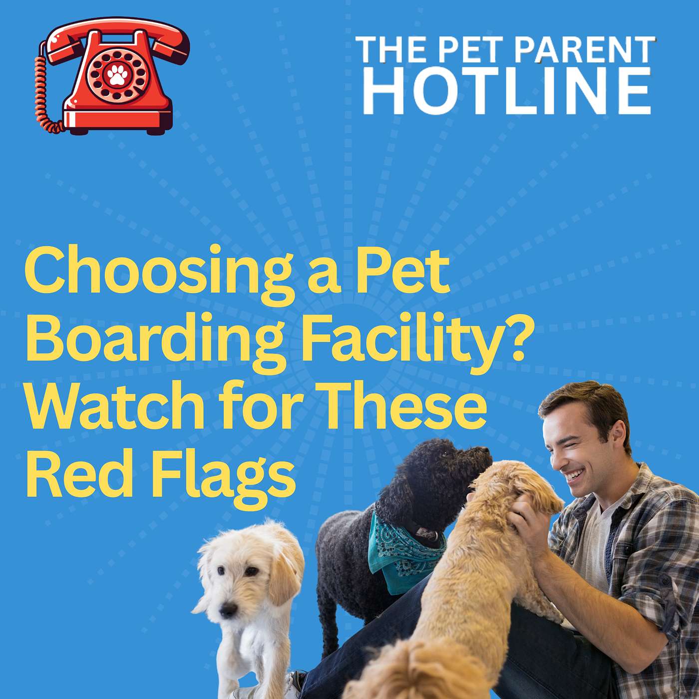 Choosing a Pet Boarding Facility? Watch for These Red Flags
