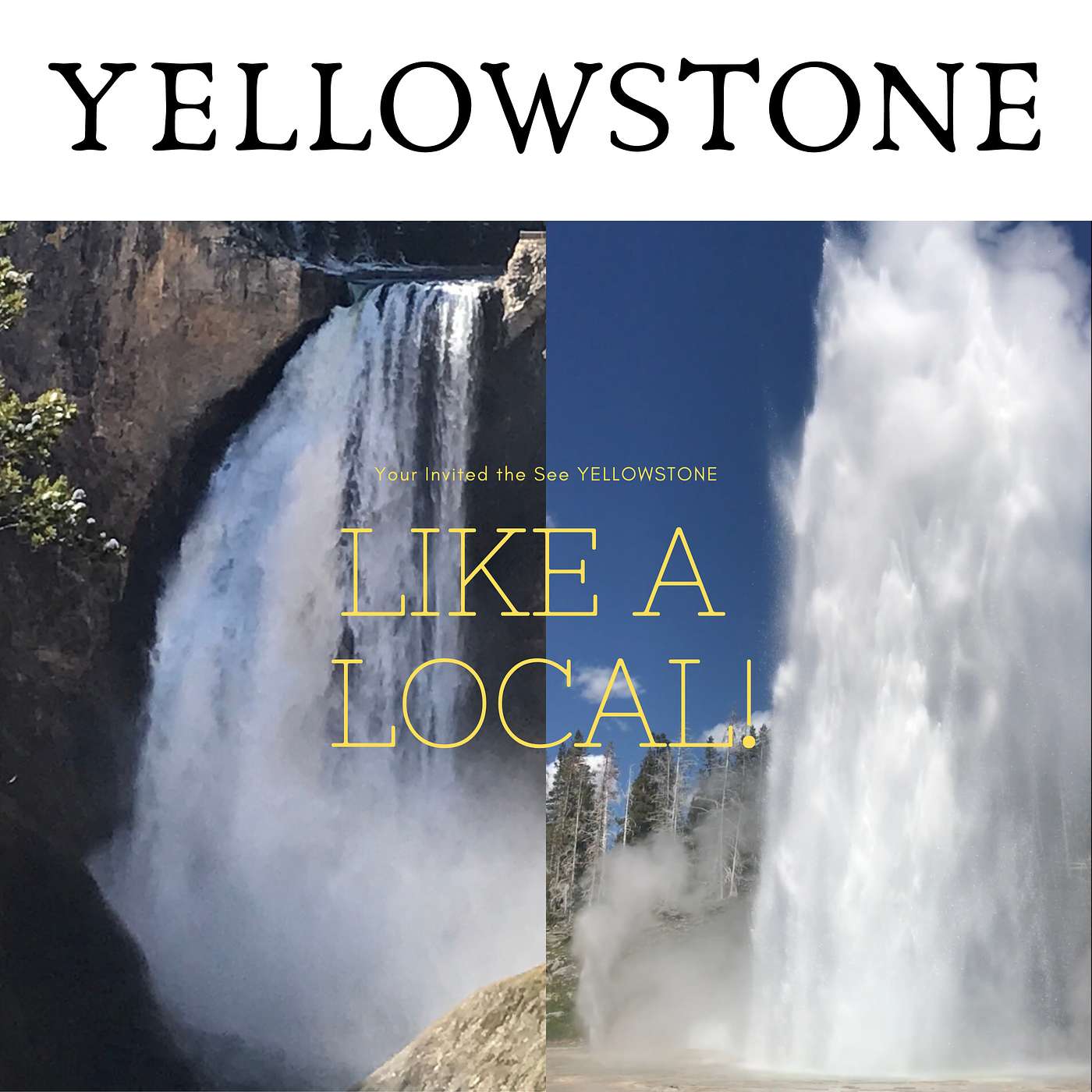 Explore Yellowstone Like a Local! Save TIME & MONEY on your Yellowstone Vacation.