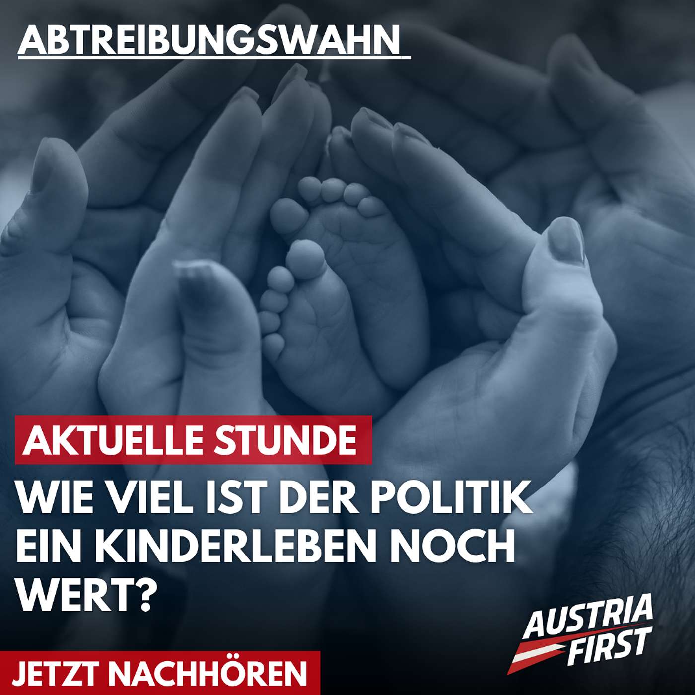 Abtreibungswahn: Wie viel ist der Politik ein Kinderleben noch wert? - Aktuelle Stunde episode artwork