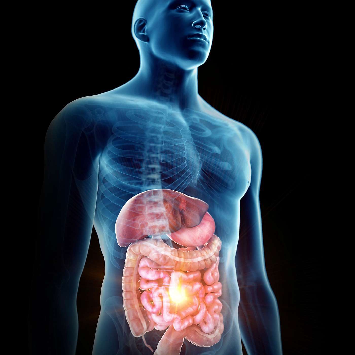 How Gut Bacteria Affects Weight Loss (And Why Your Microbiome Might Be Sabotaging You)