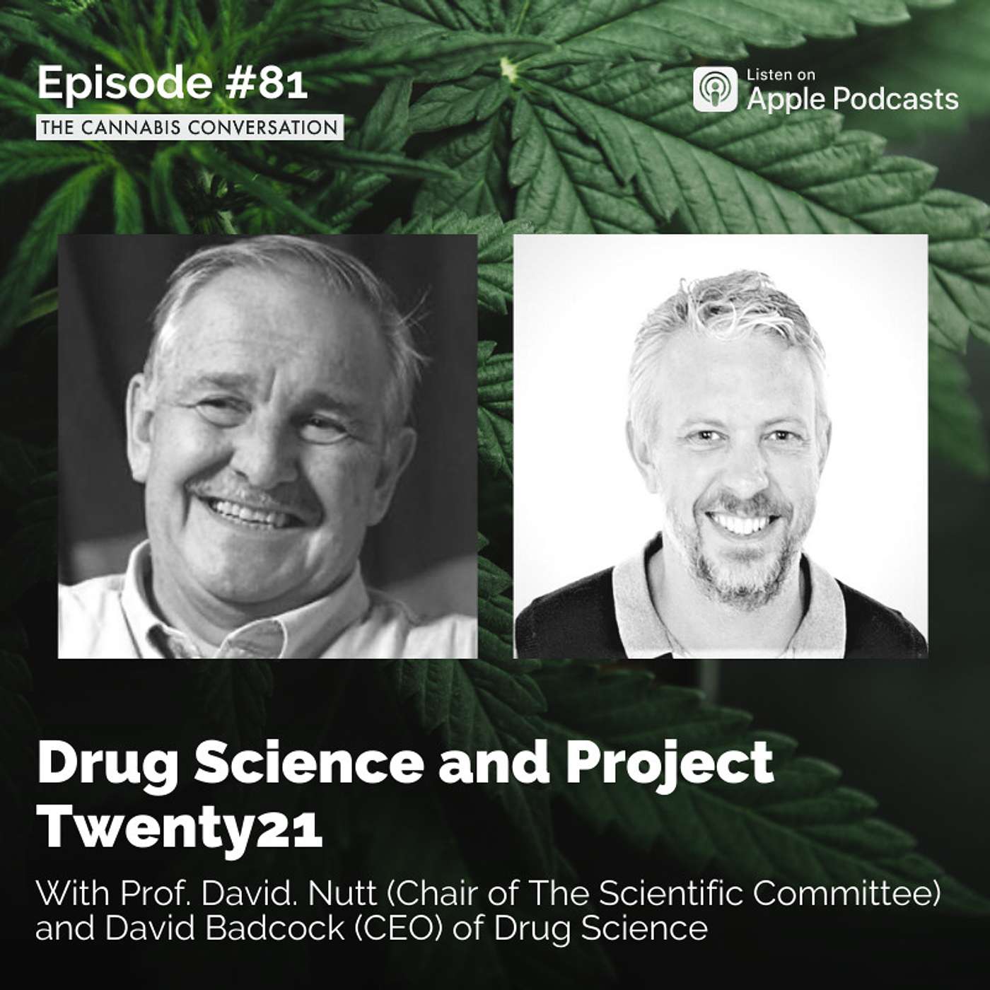 The Cannabis Conversation | Medical Cannabis | CBD | Hemp
